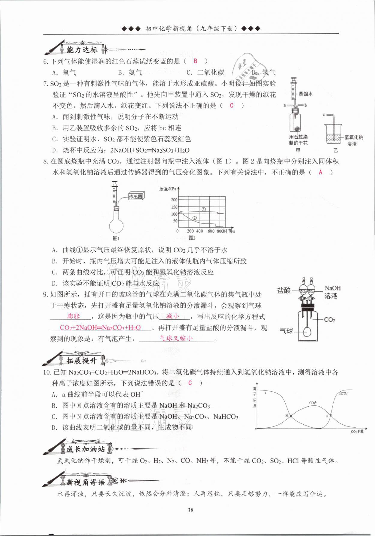 2021年新視角教輔系列叢書九年級化學下冊人教版 參考答案第38頁