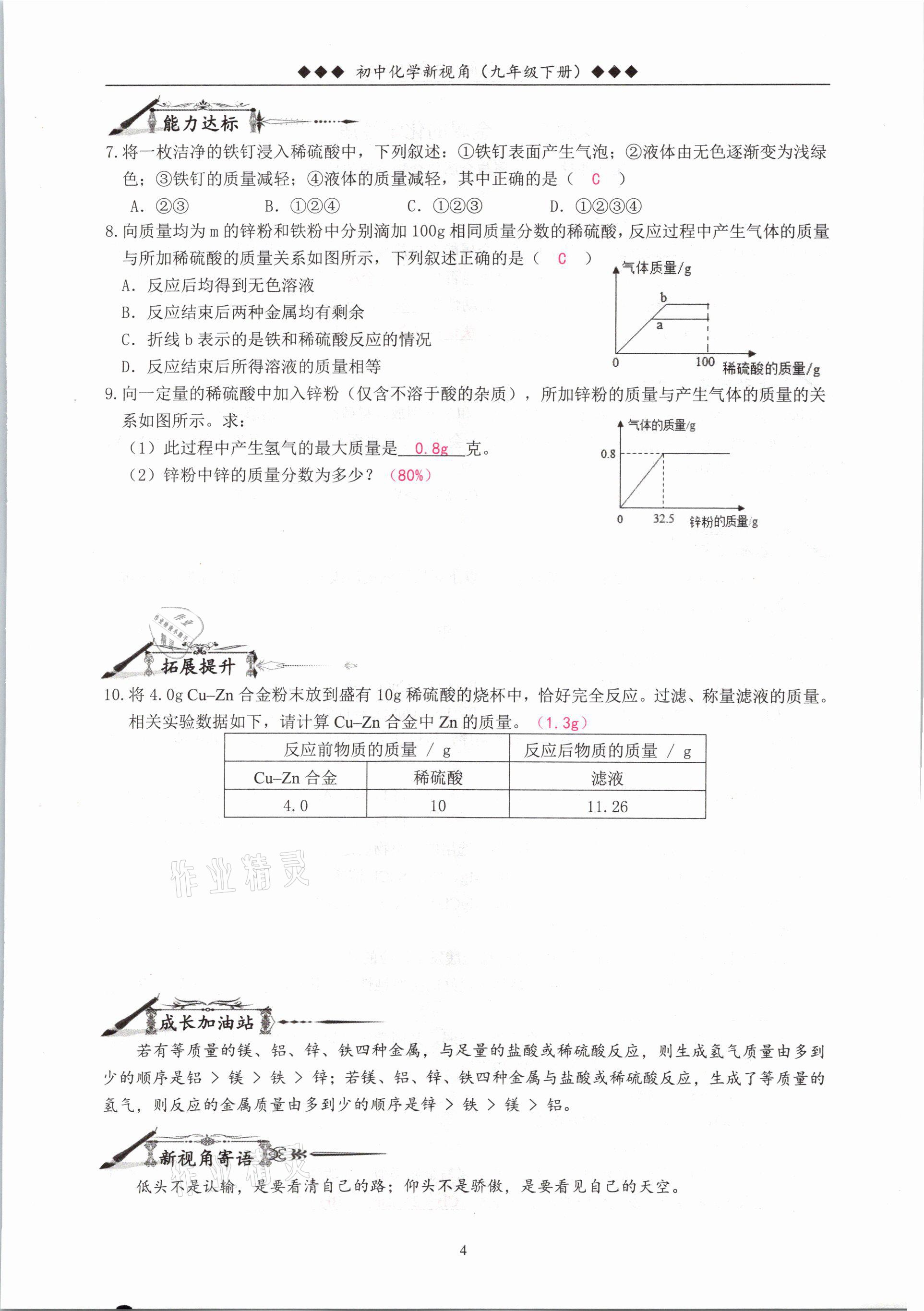 2021年新视角教辅系列丛书九年级化学下册人教版 参考答案第4页