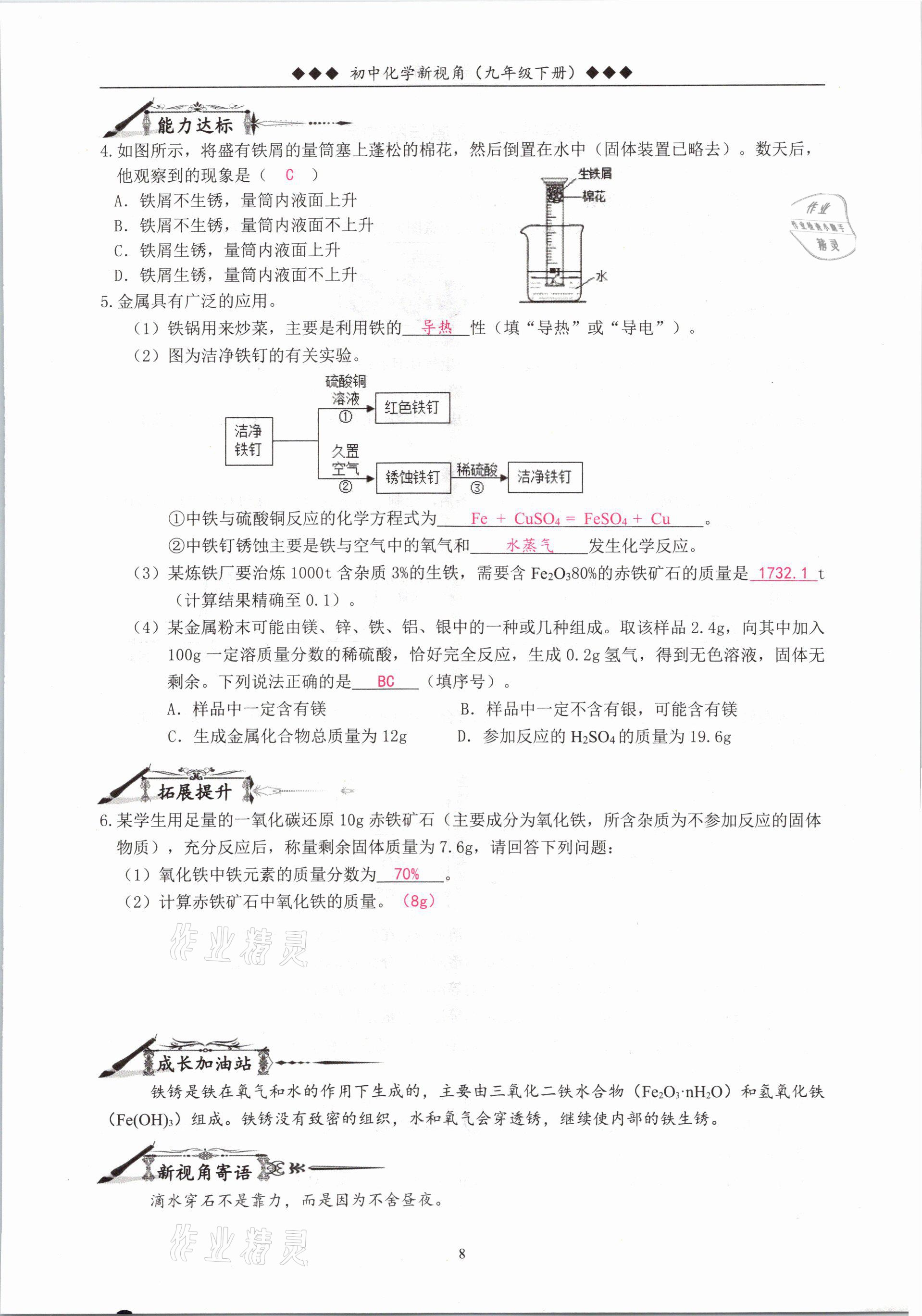 2021年新视角教辅系列丛书九年级化学下册人教版 参考答案第8页