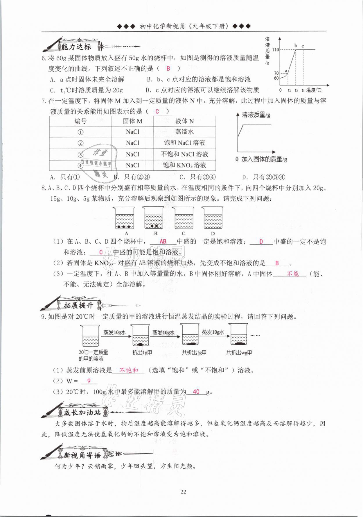 2021年新視角教輔系列叢書九年級化學(xué)下冊人教版 參考答案第22頁