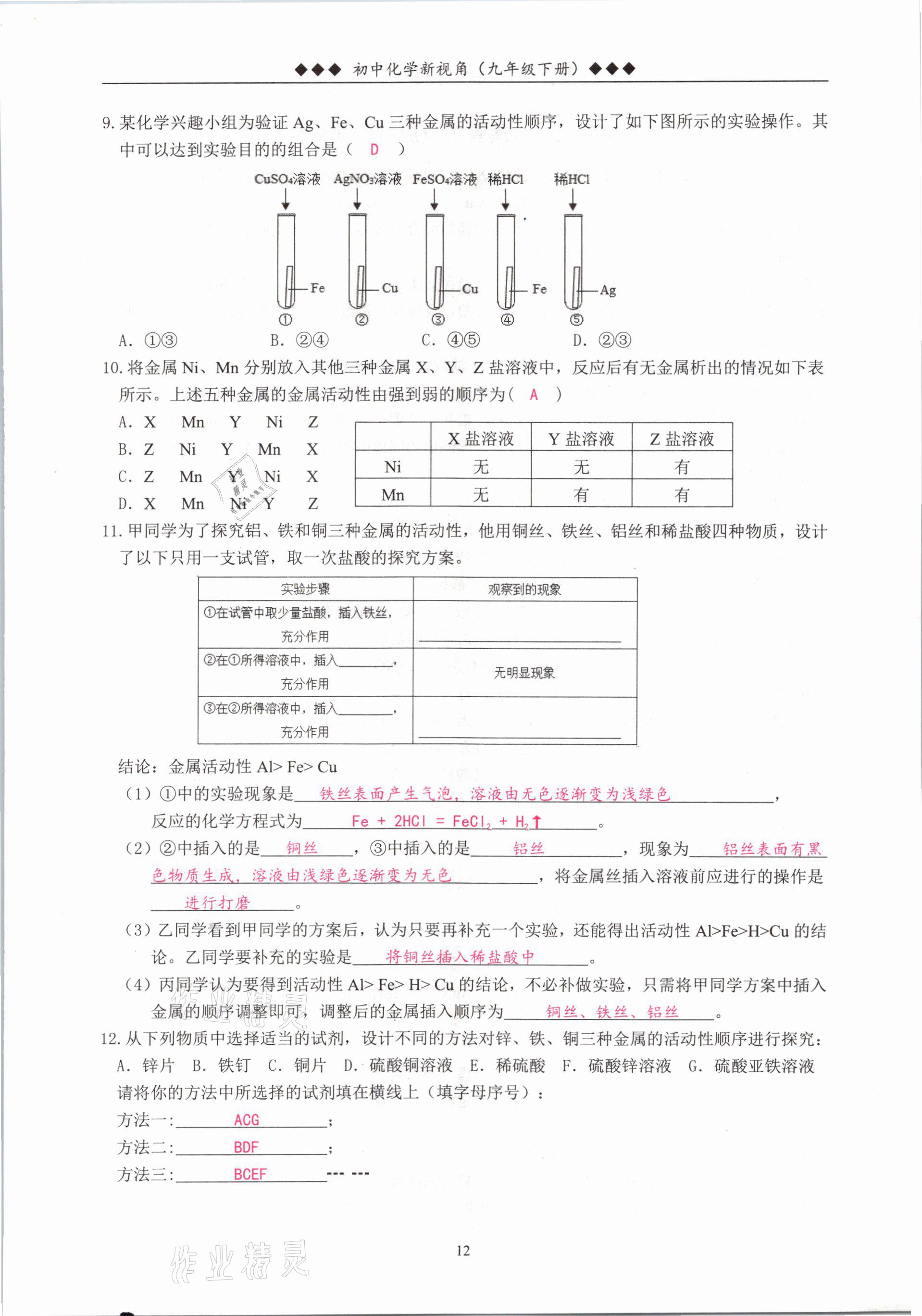 2021年新视角教辅系列丛书九年级化学下册人教版 参考答案第12页