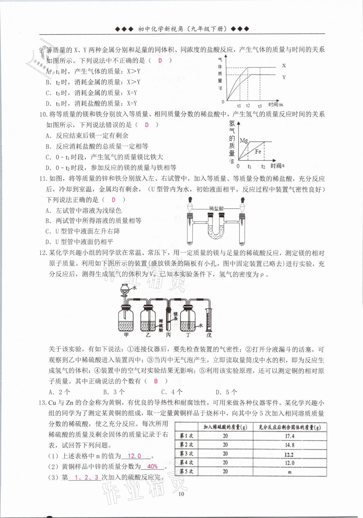 2021年新視角教輔系列叢書九年級化學下冊人教版 參考答案第10頁