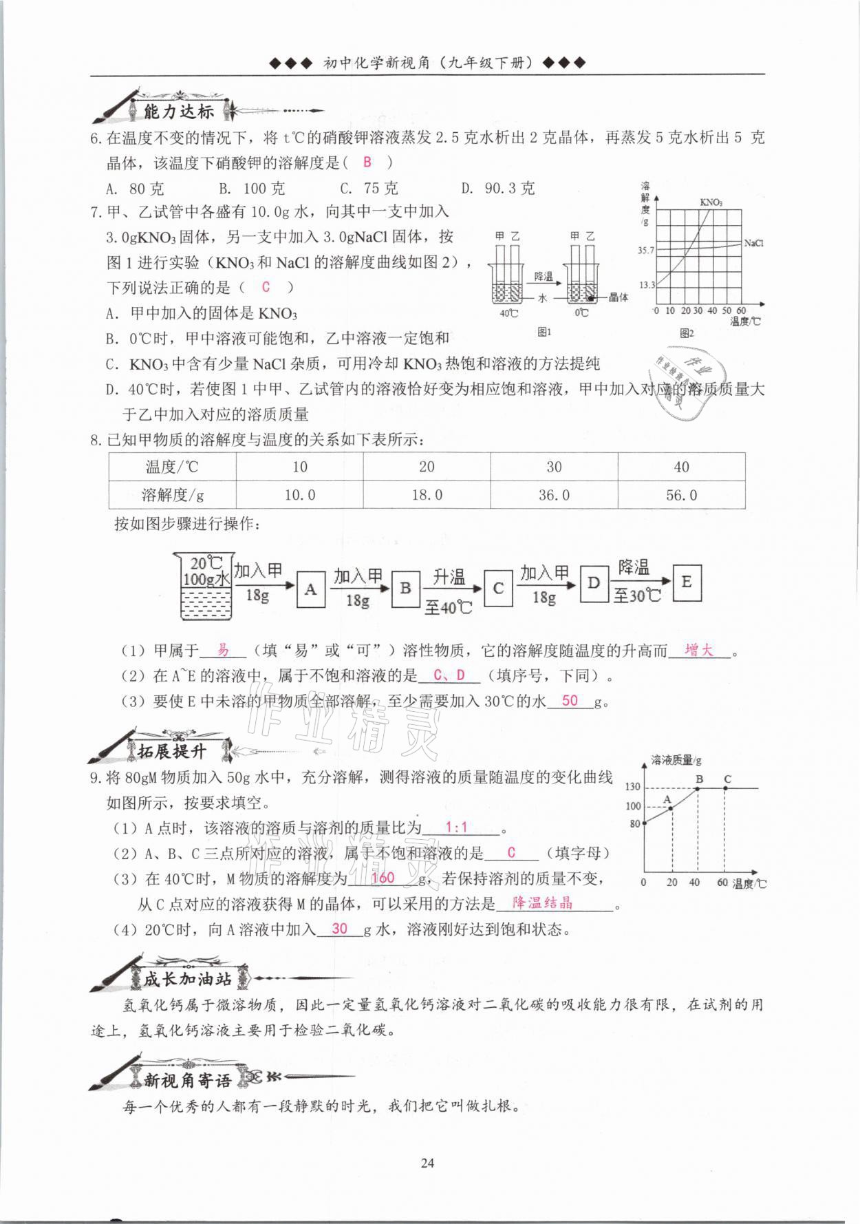 2021年新視角教輔系列叢書九年級(jí)化學(xué)下冊(cè)人教版 參考答案第24頁(yè)