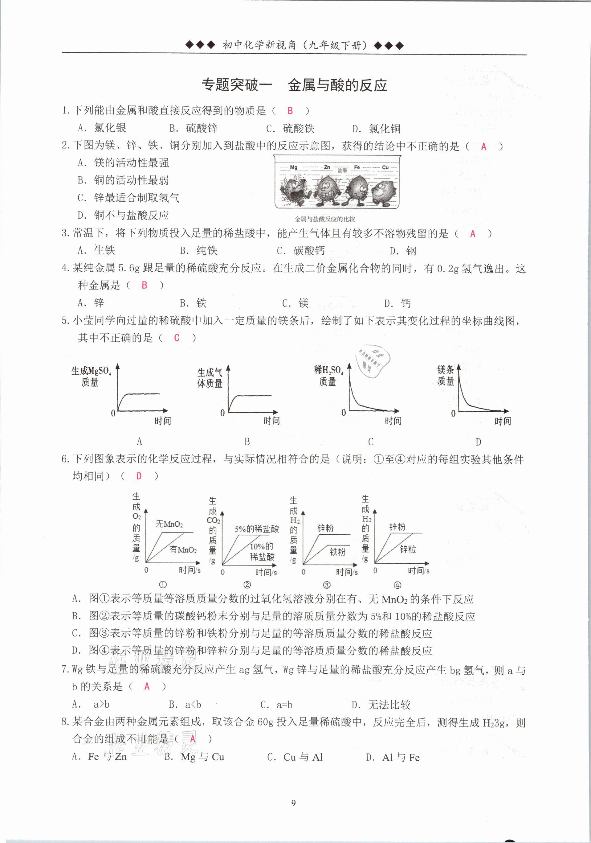 2021年新視角教輔系列叢書九年級化學(xué)下冊人教版 參考答案第9頁