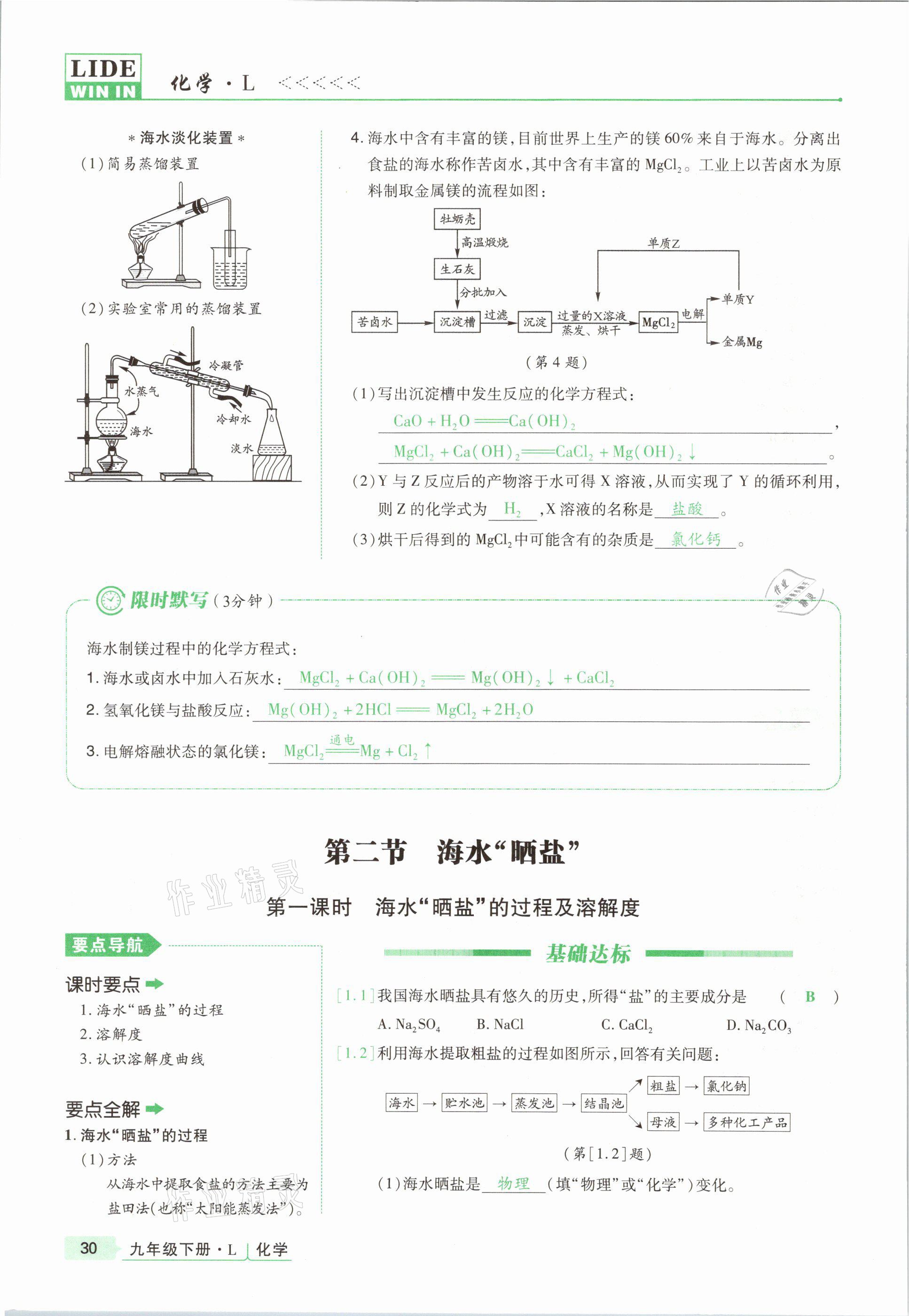 2021年高分突破課時(shí)達(dá)標(biāo)講練測(cè)九年級(jí)化學(xué)下冊(cè)魯教版 第30頁(yè)