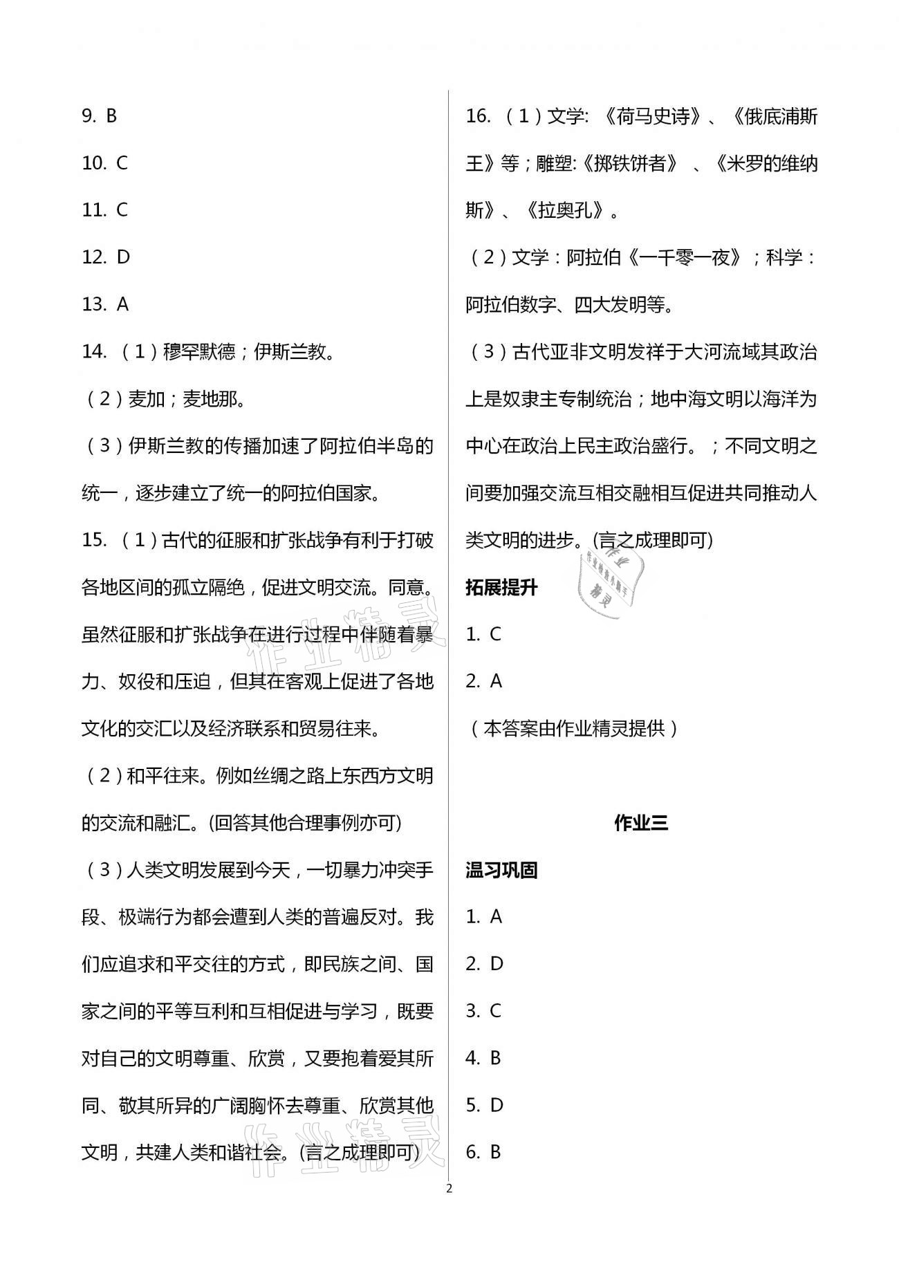 2021年寒假作业九年级历史湖南教育出版社 第2页