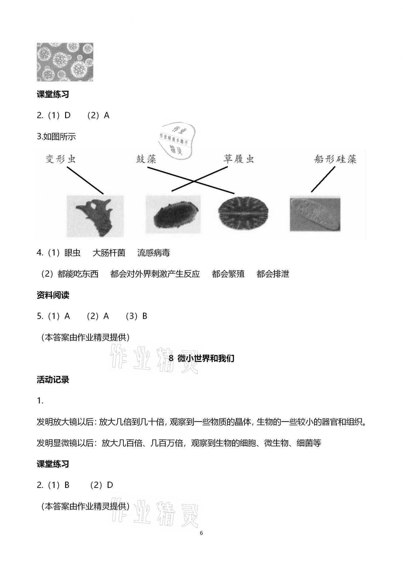 2021年作業(yè)本六年級科學(xué)下冊教科版浙江教育出版社 第6頁