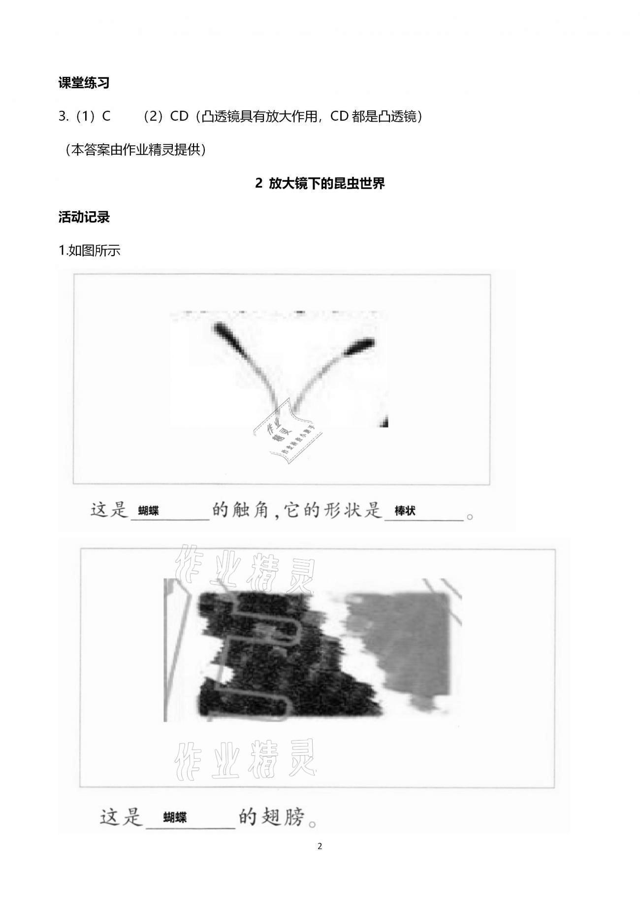 2021年作業(yè)本六年級(jí)科學(xué)下冊(cè)教科版浙江教育出版社 第2頁