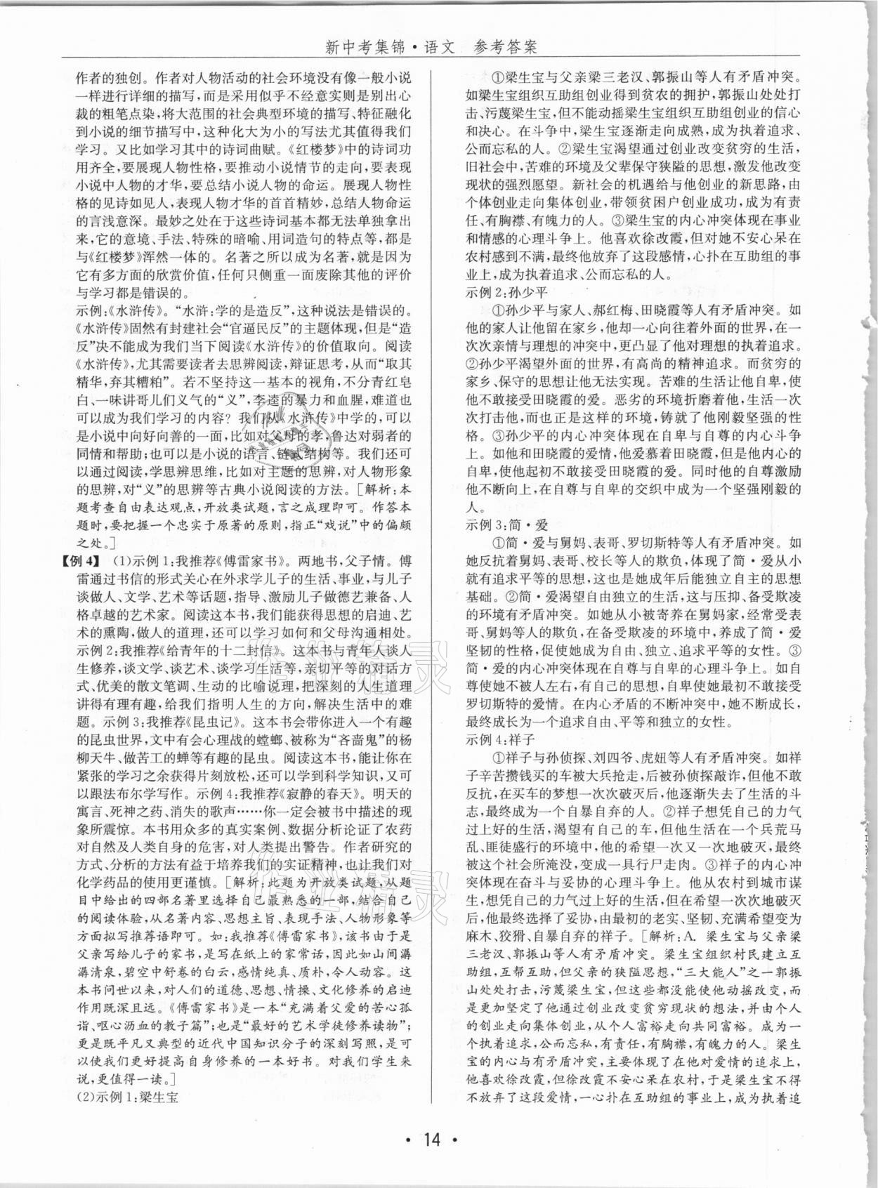 2021年新中考集錦全程復(fù)習(xí)訓(xùn)練語文 第14頁