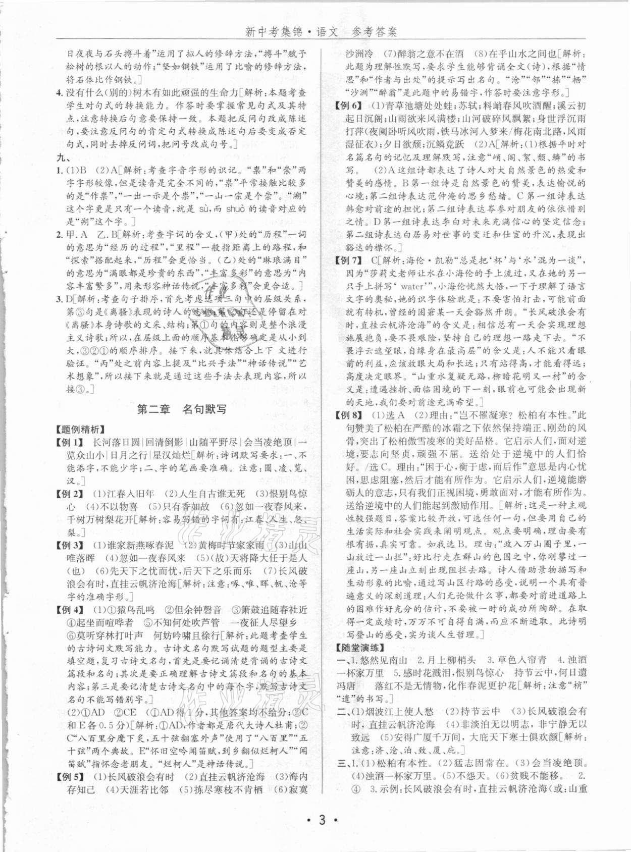 2021年新中考集錦全程復(fù)習(xí)訓(xùn)練語文 第3頁