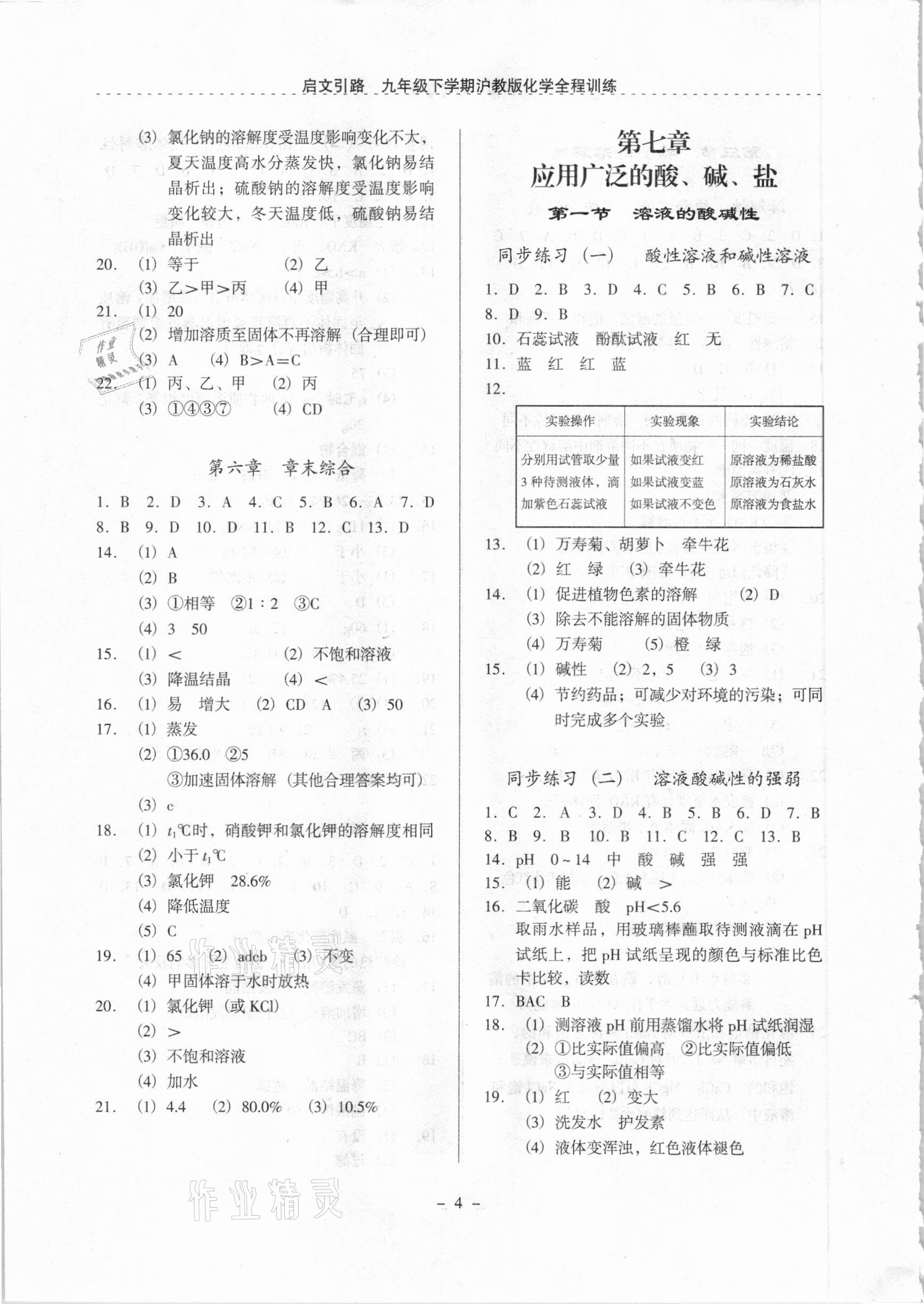 2021年启文引路九年级化学下学期沪教版 参考答案第4页