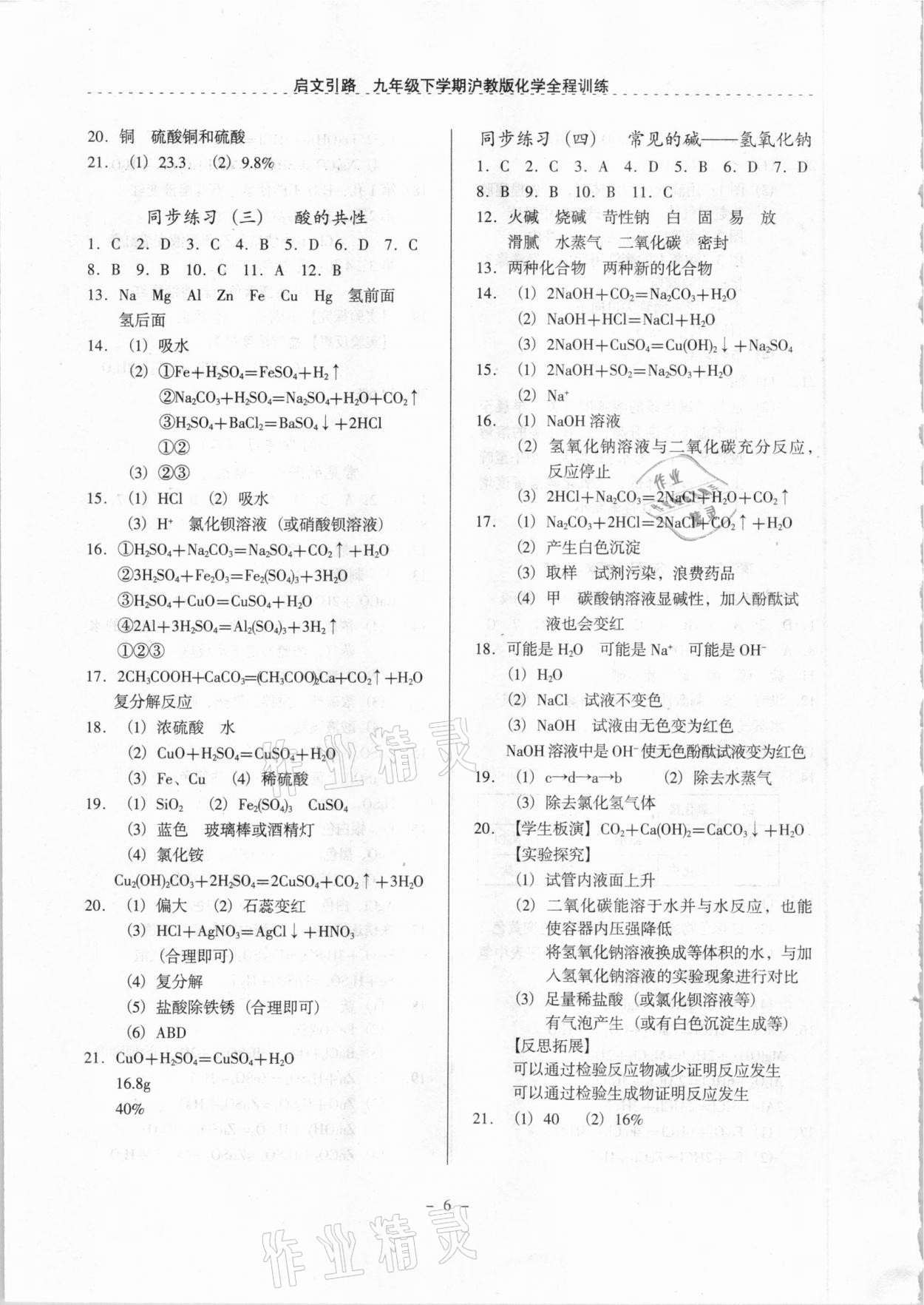 2021年启文引路九年级化学下学期沪教版 参考答案第6页