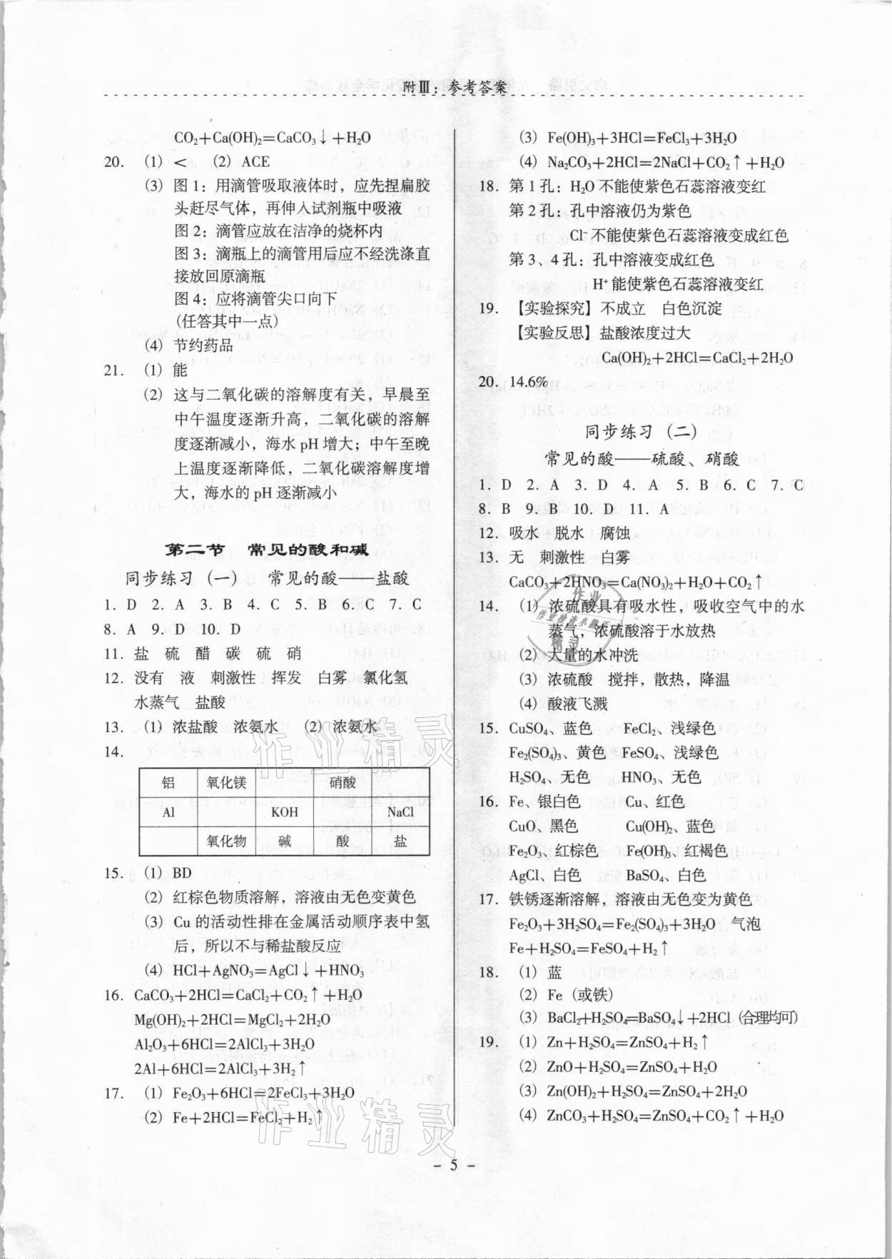 2021年启文引路九年级化学下学期沪教版 参考答案第5页