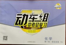 2021年動車組中考總復習化學人教版