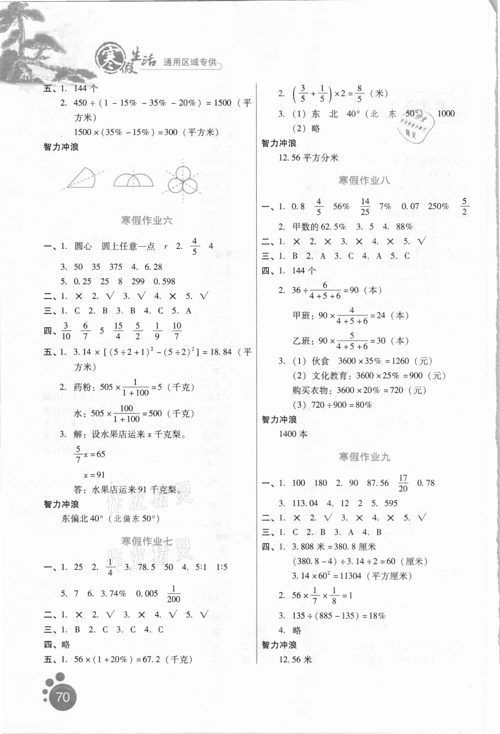 2021年寒假生活六年級(jí)數(shù)學(xué)通用版河北人民出版社 第2頁