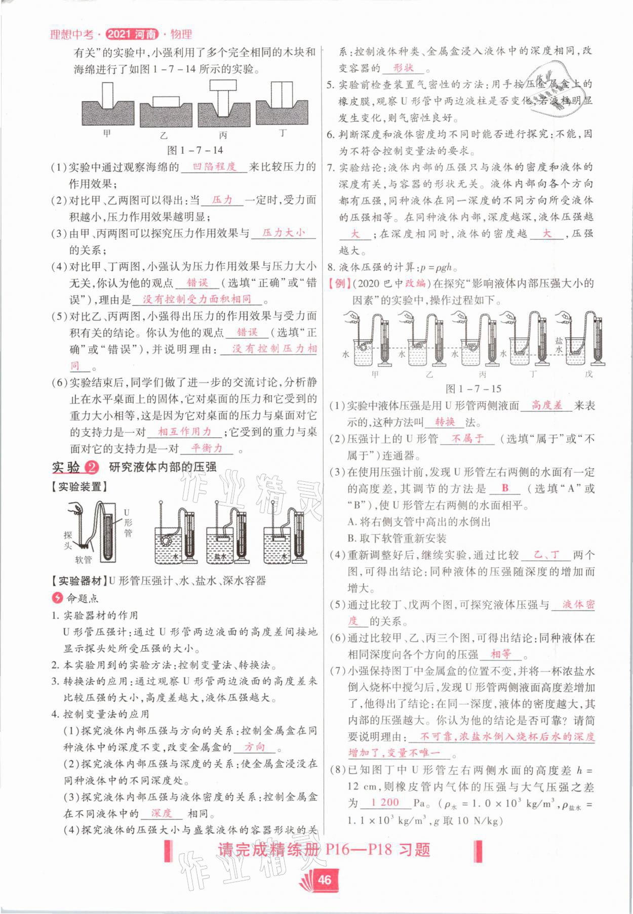 2021年理想中考物理河南專版 參考答案第46頁(yè)