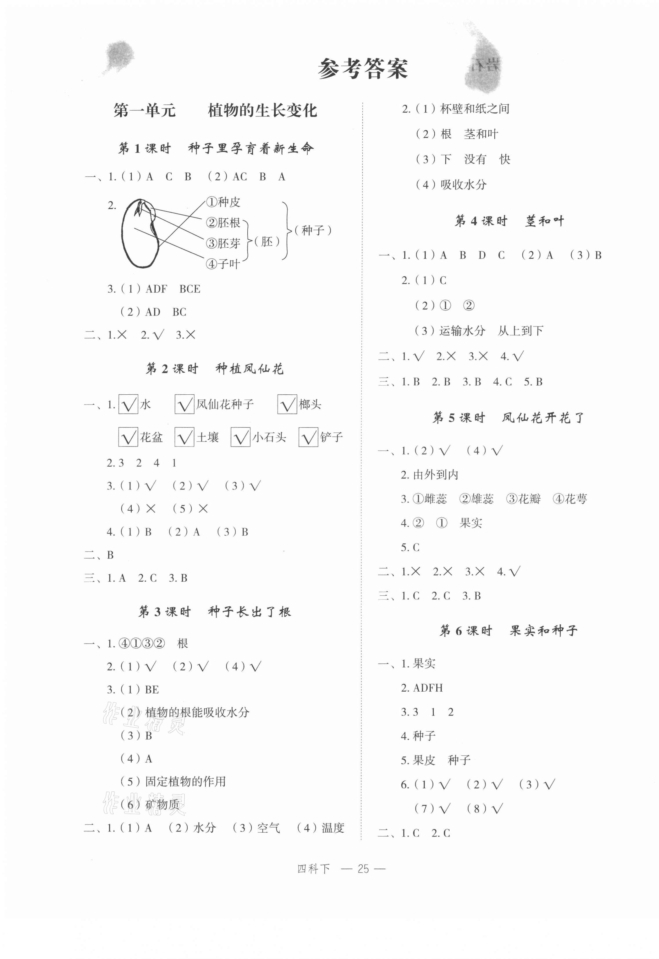 2021年名師面對面先學后練四年級科學下冊教科版 第3頁