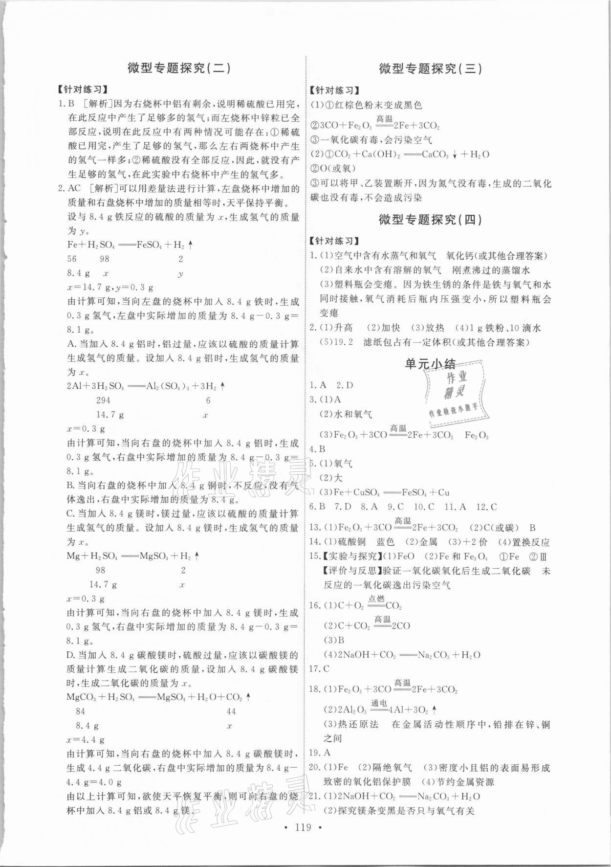 2021年能力培养与测试九年级化学下册人教版 第5页