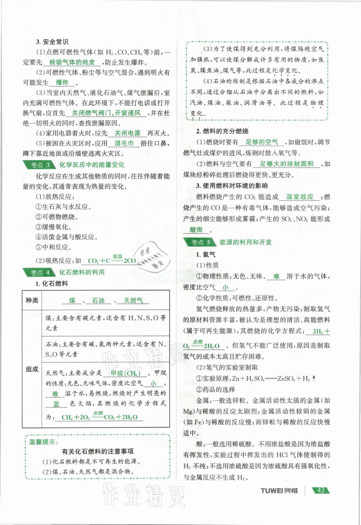 2021年一戰(zhàn)通關(guān)中考總復(fù)習(xí)化學(xué)河南專版 參考答案第43頁(yè)