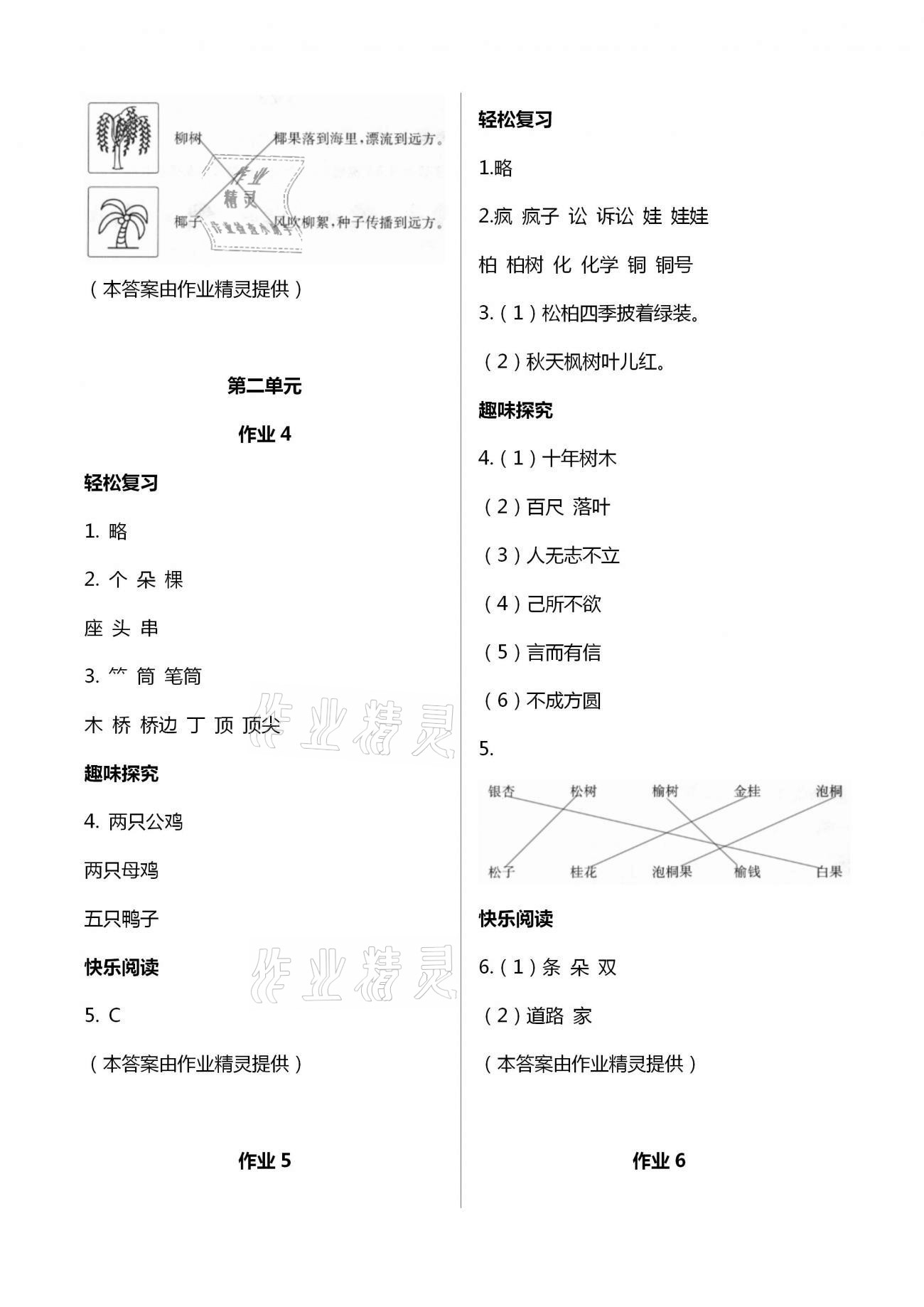 2021年名師講壇智趣冬令營二年級基礎與閱讀通用版 第2頁