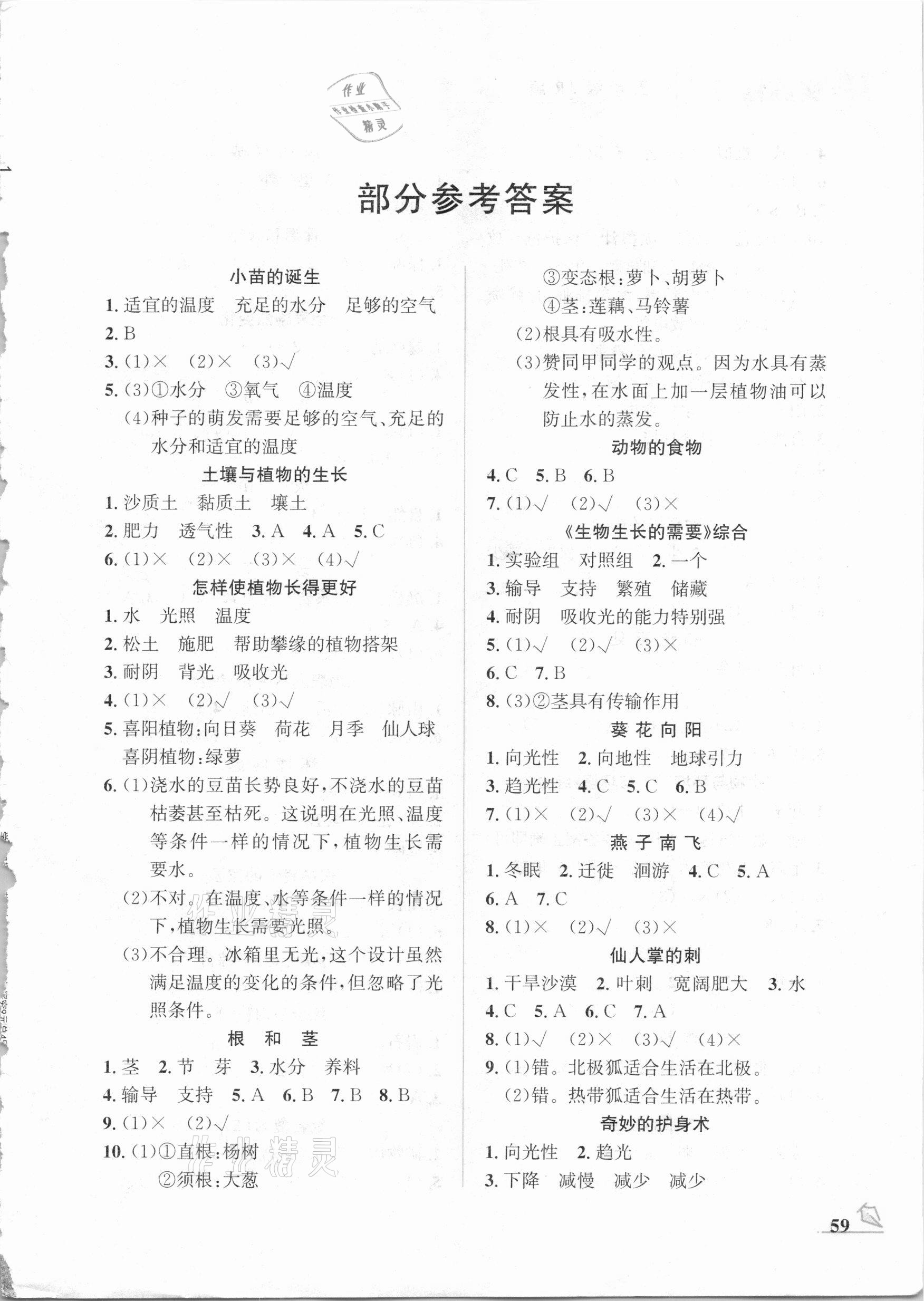 2021年名师讲坛智趣冬令营五年级实践探究冀人版 第1页