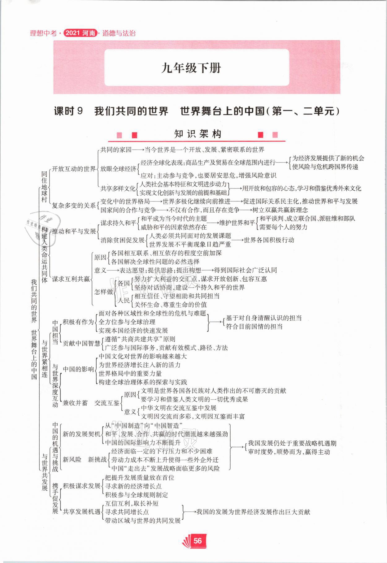 2021年理想中考道德與法治河南專版 參考答案第56頁(yè)