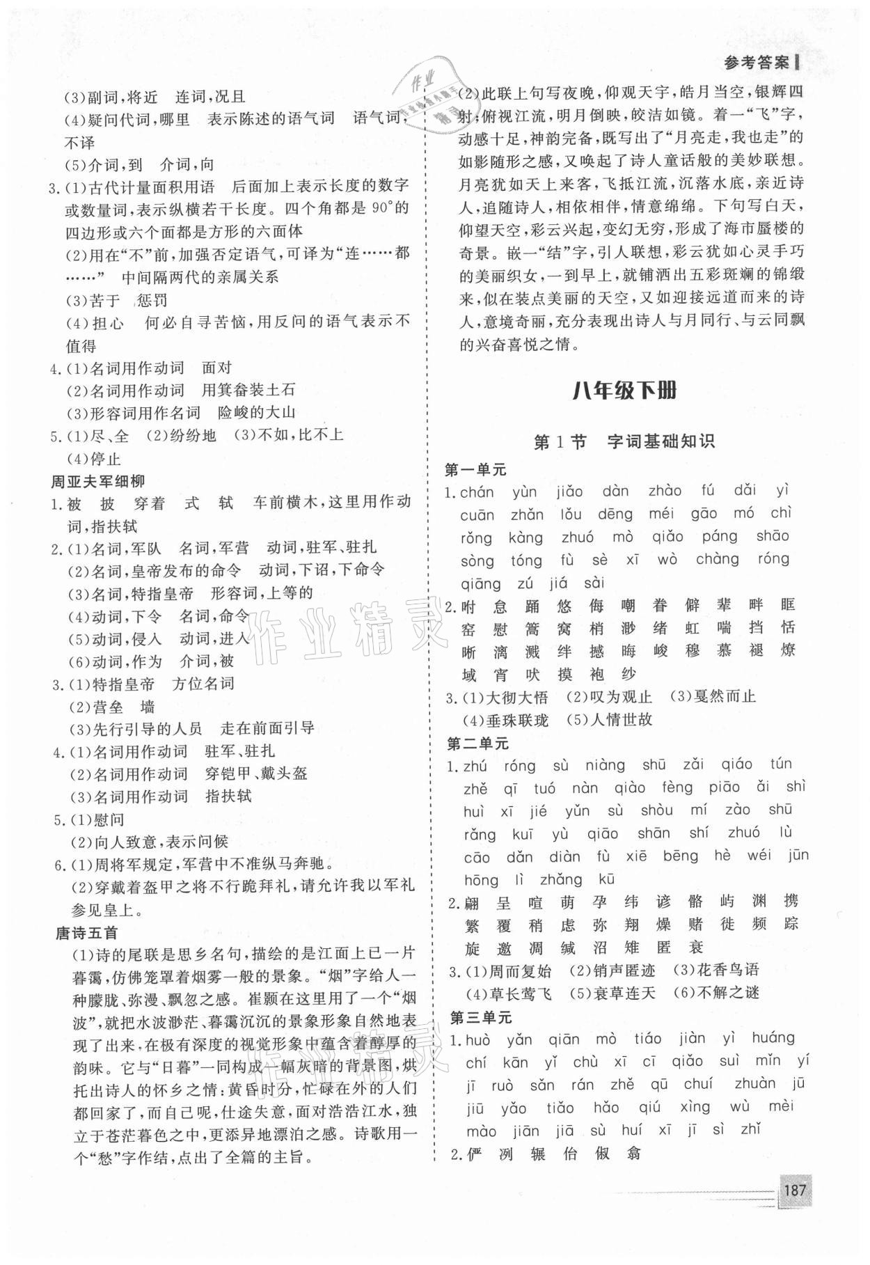 2021年致勝中考初中總復習指導用書語文 第9頁