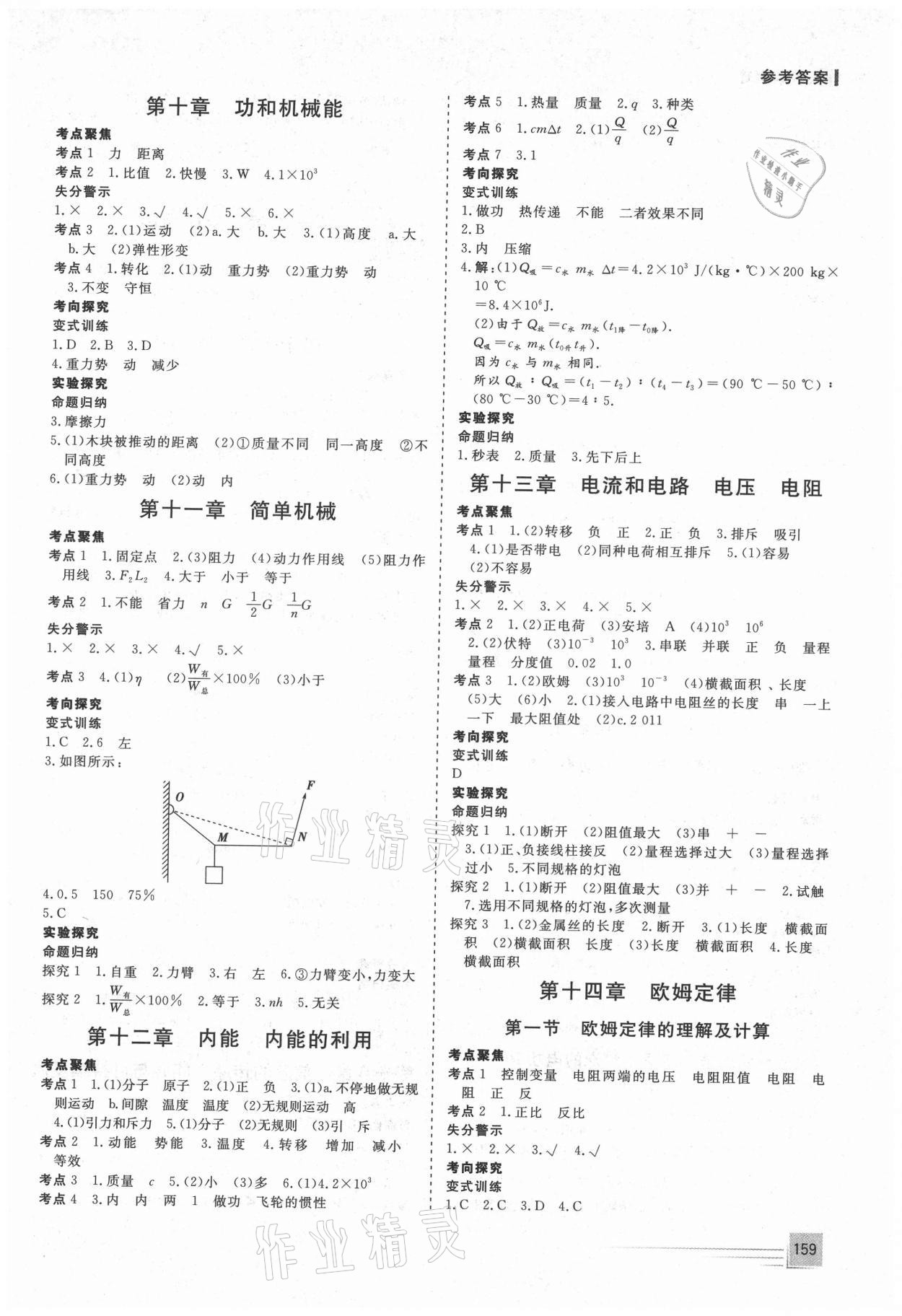 2021年致勝中考初中總復(fù)習(xí)指導(dǎo)用書物理 第3頁