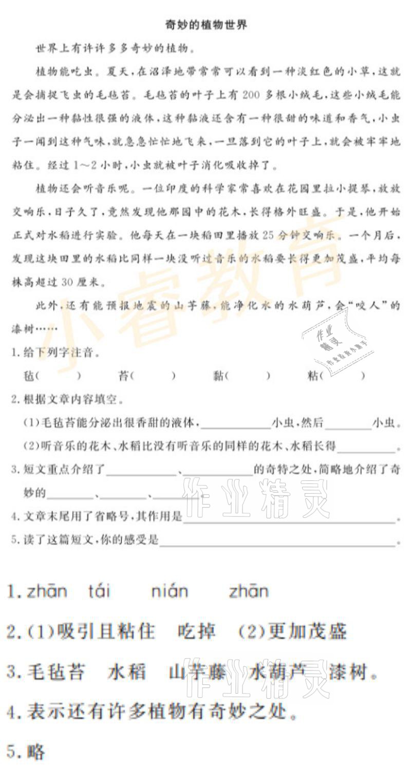 2021年湘岳假期寒假作業(yè)五年級(jí)語(yǔ)文 參考答案第2頁(yè)