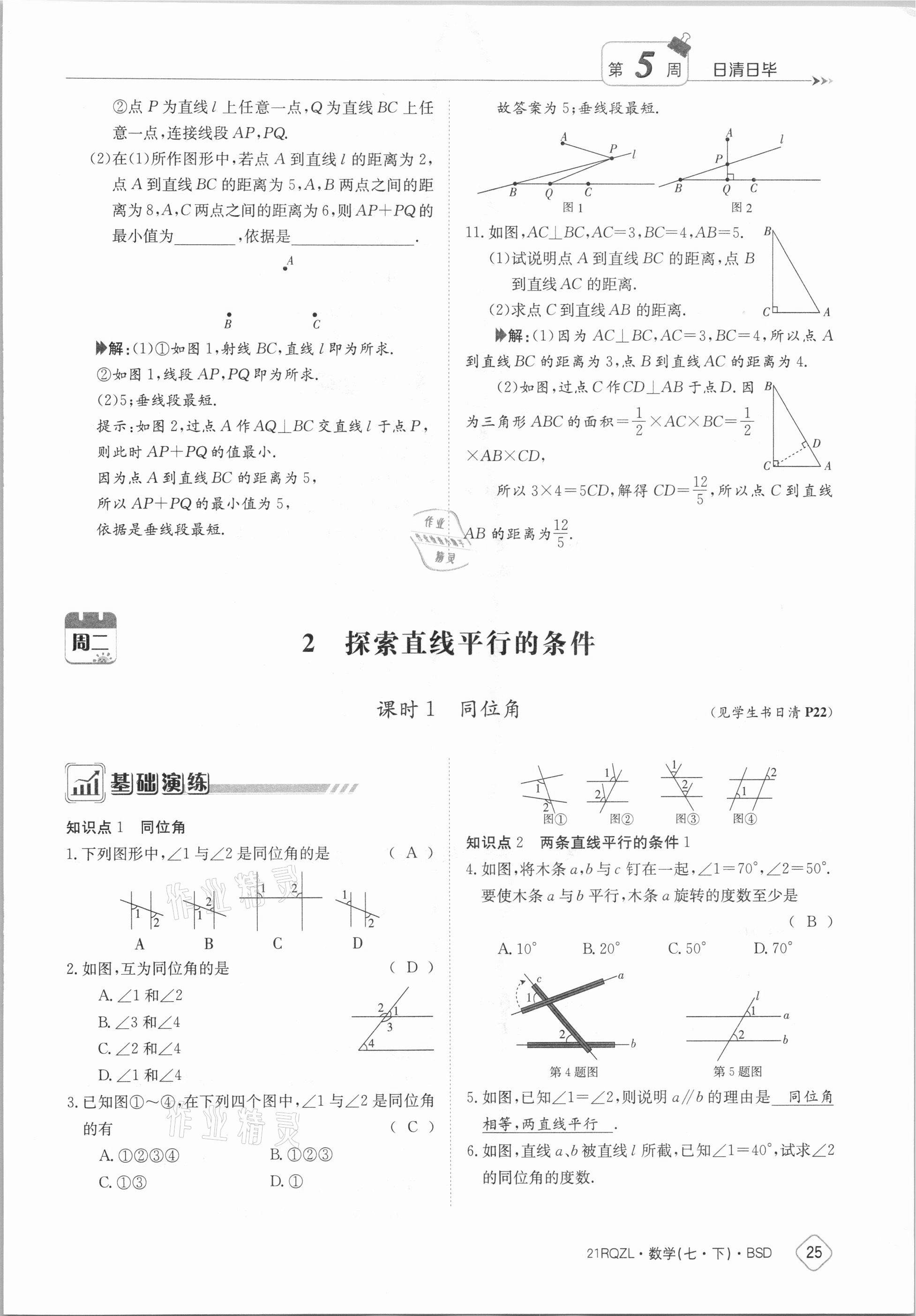 2021年日清周练七年级数学下册北师大版 参考答案第25页