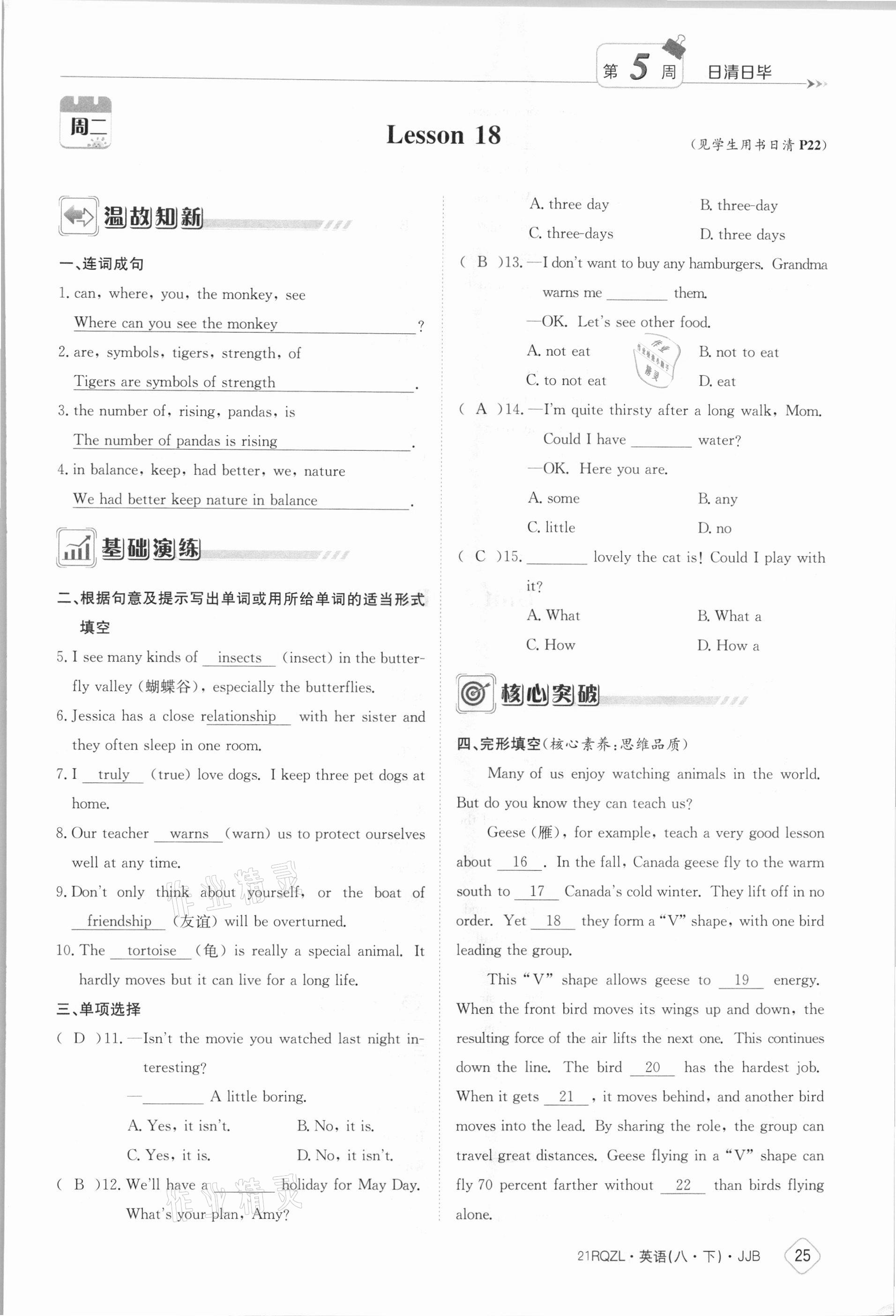 2021年日清周练八年级英语下册冀教版 参考答案第25页