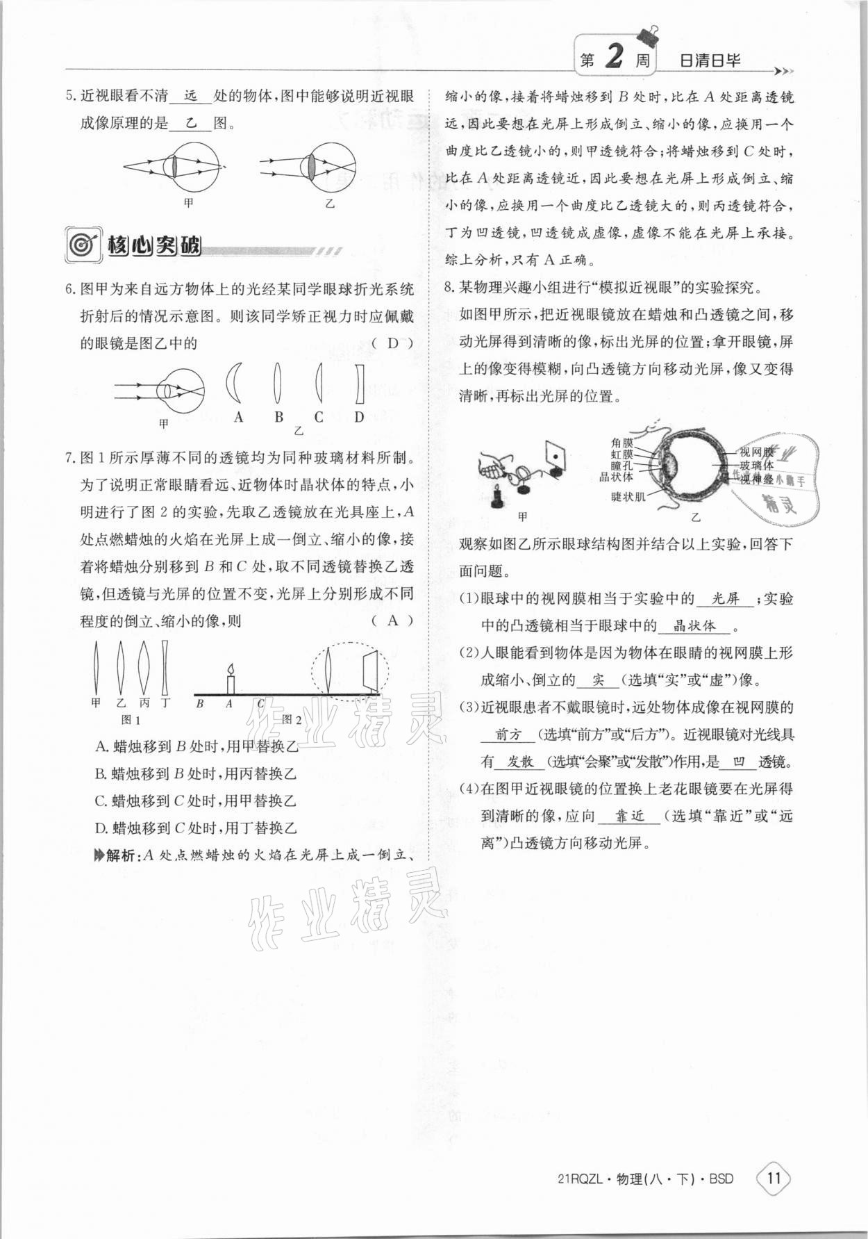 2021年日清周練八年級物理下冊北師大版 參考答案第11頁