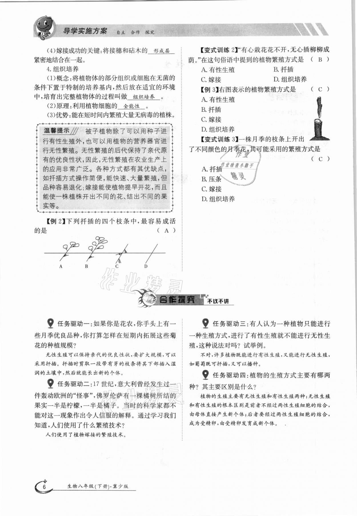 2021年金太陽(yáng)導(dǎo)學(xué)案八年級(jí)生物下冊(cè)冀少版 參考答案第6頁(yè)