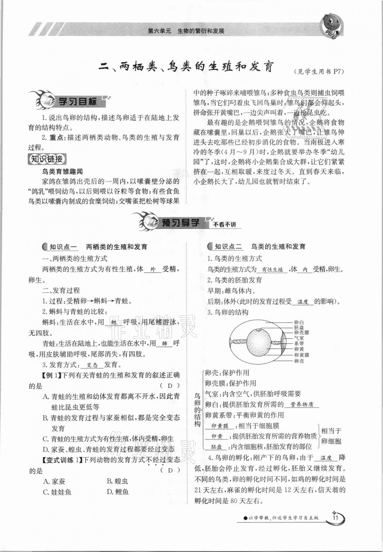 2021年金太陽導(dǎo)學(xué)案八年級生物下冊冀少版 參考答案第11頁