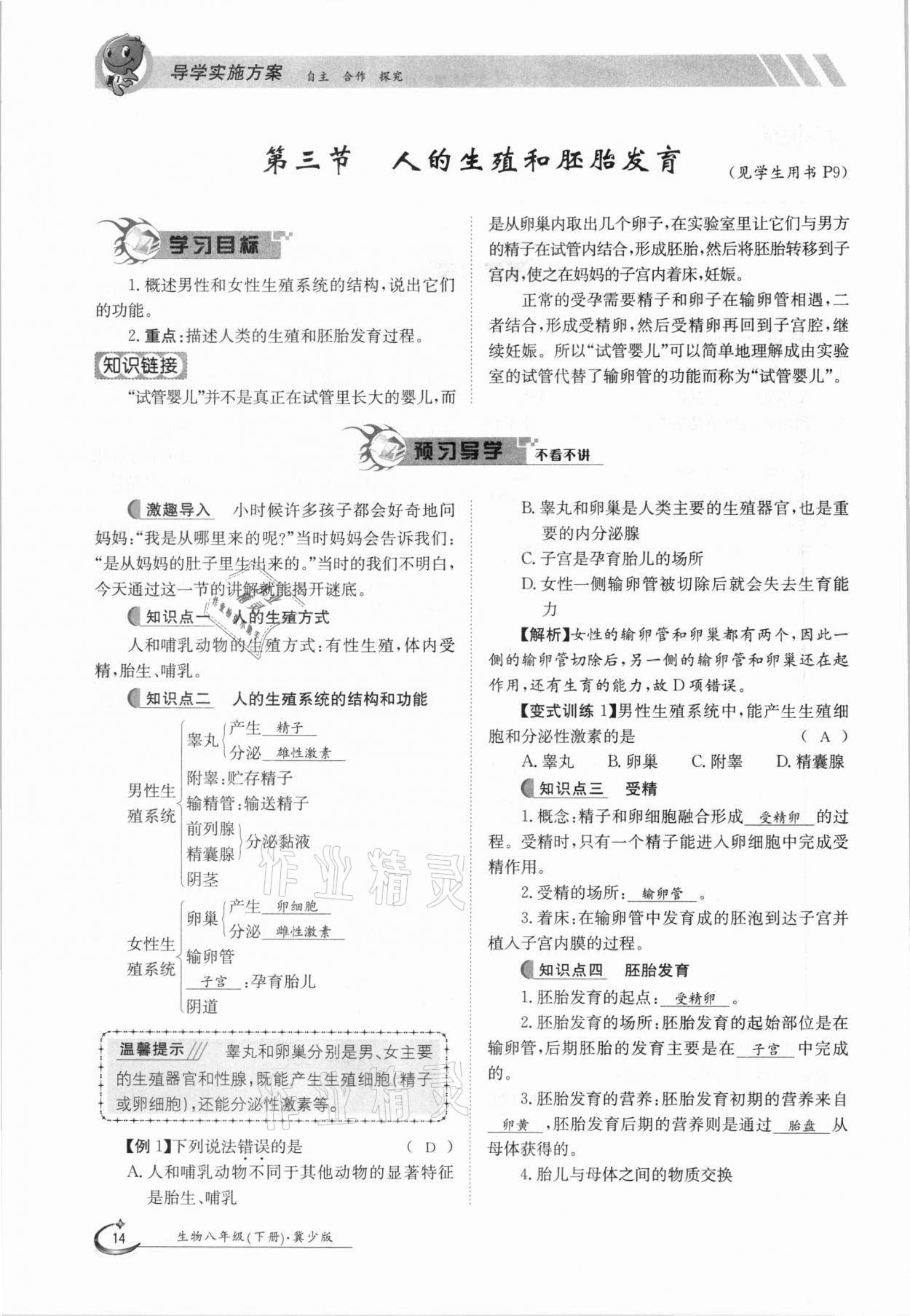 2021年金太陽導學案八年級生物下冊冀少版 參考答案第14頁