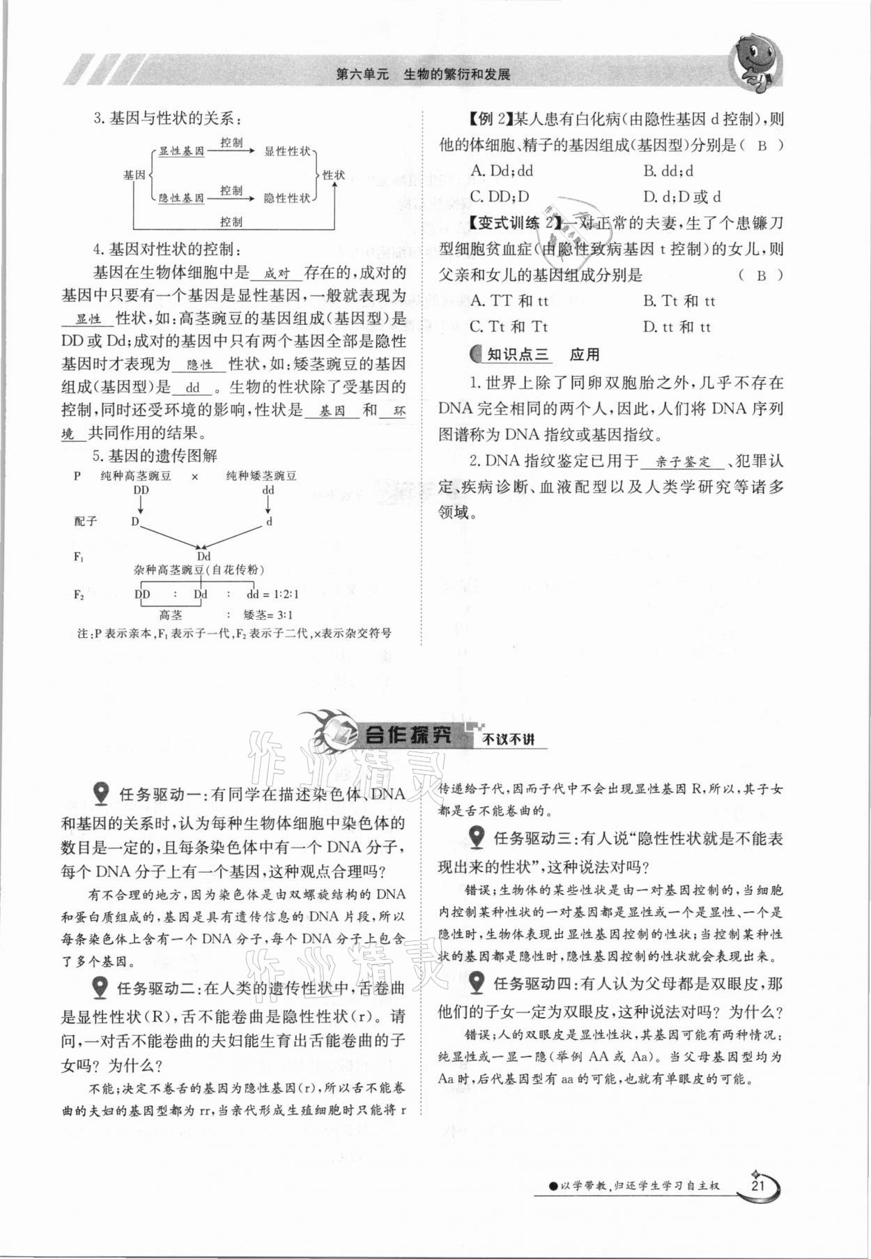 2021年金太陽(yáng)導(dǎo)學(xué)案八年級(jí)生物下冊(cè)冀少版 參考答案第21頁(yè)