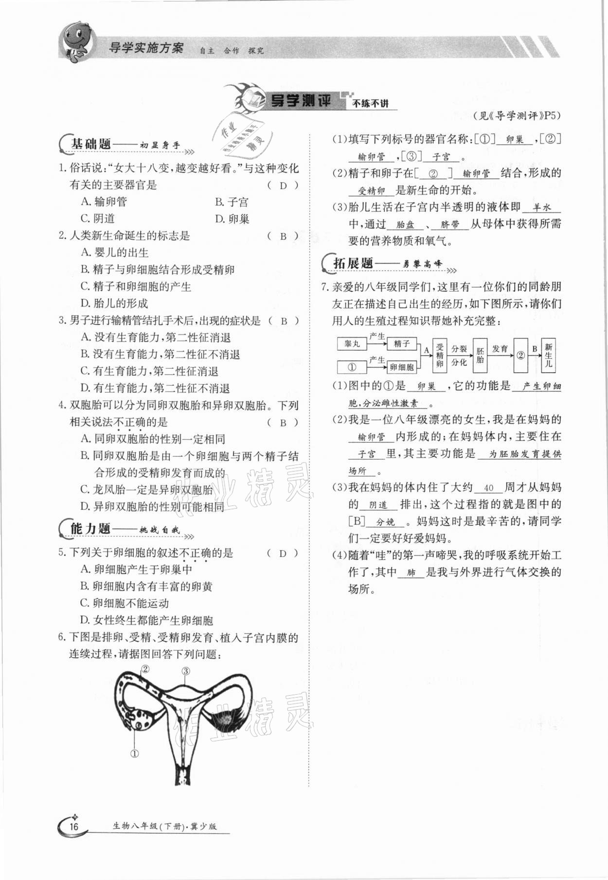 2021年金太陽導學案八年級生物下冊冀少版 參考答案第16頁