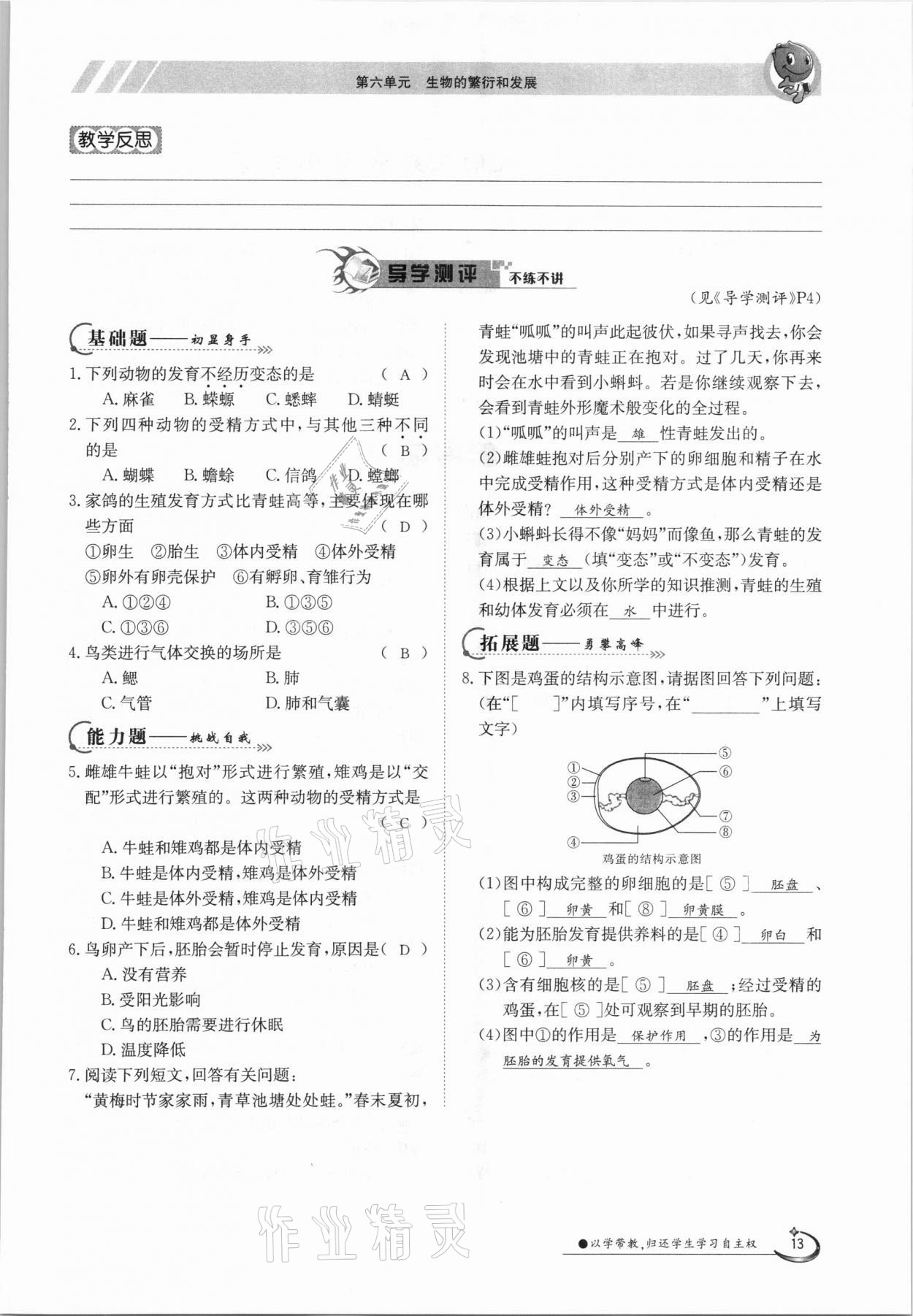 2021年金太陽導(dǎo)學(xué)案八年級(jí)生物下冊(cè)冀少版 參考答案第13頁(yè)