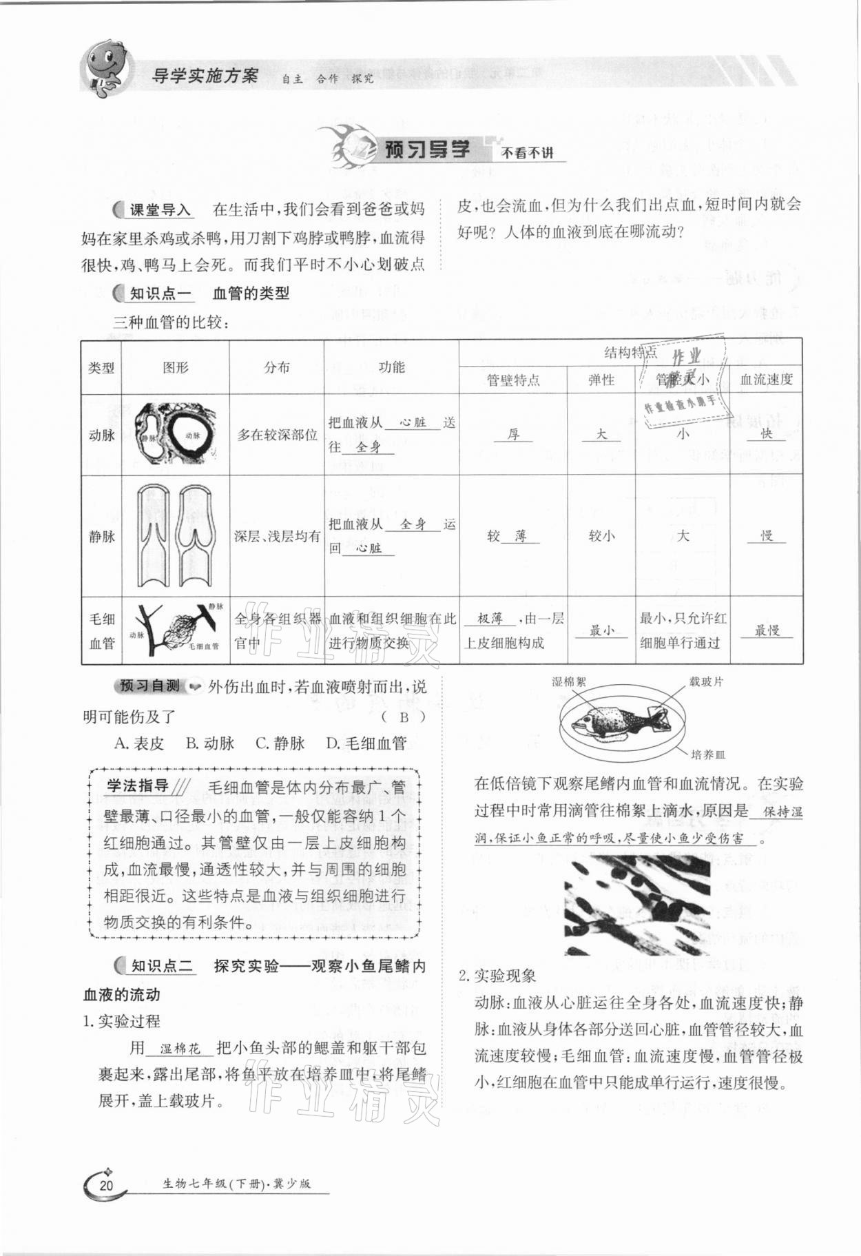 2021年金太陽(yáng)導(dǎo)學(xué)案七年級(jí)生物下冊(cè)冀少版 第20頁(yè)