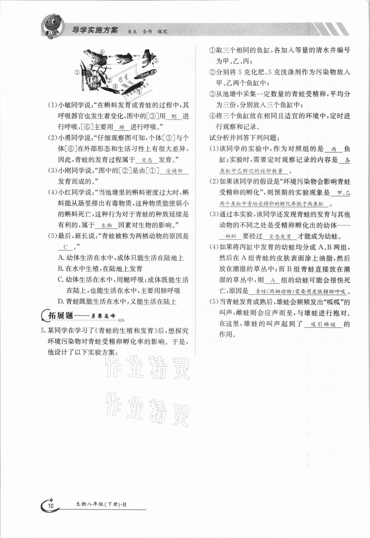 2021年金太陽導(dǎo)學(xué)案八年級(jí)生物下冊(cè)人教版 第10頁