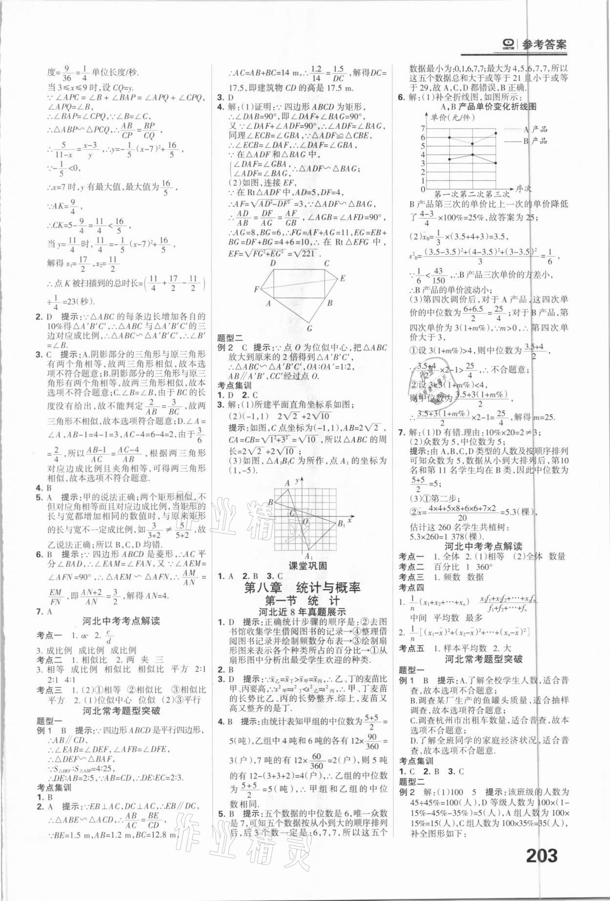 2021年全優(yōu)中考系統(tǒng)總復習數(shù)學河北專用 參考答案第19頁