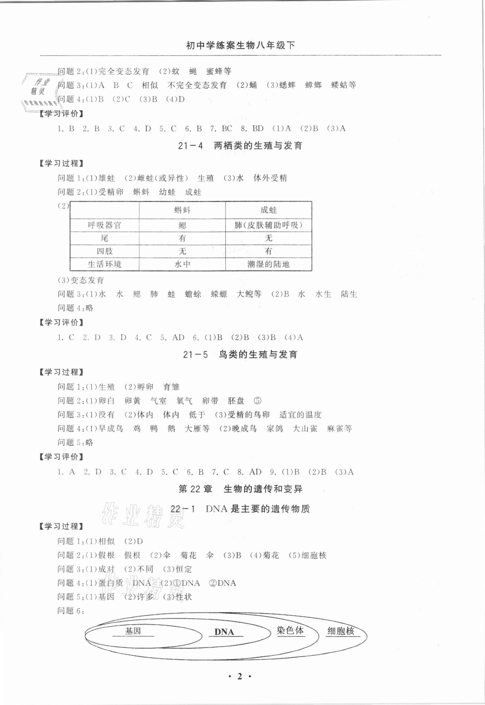 2021年初中學(xué)練案八年級生物下冊蘇教版 參考答案第2頁