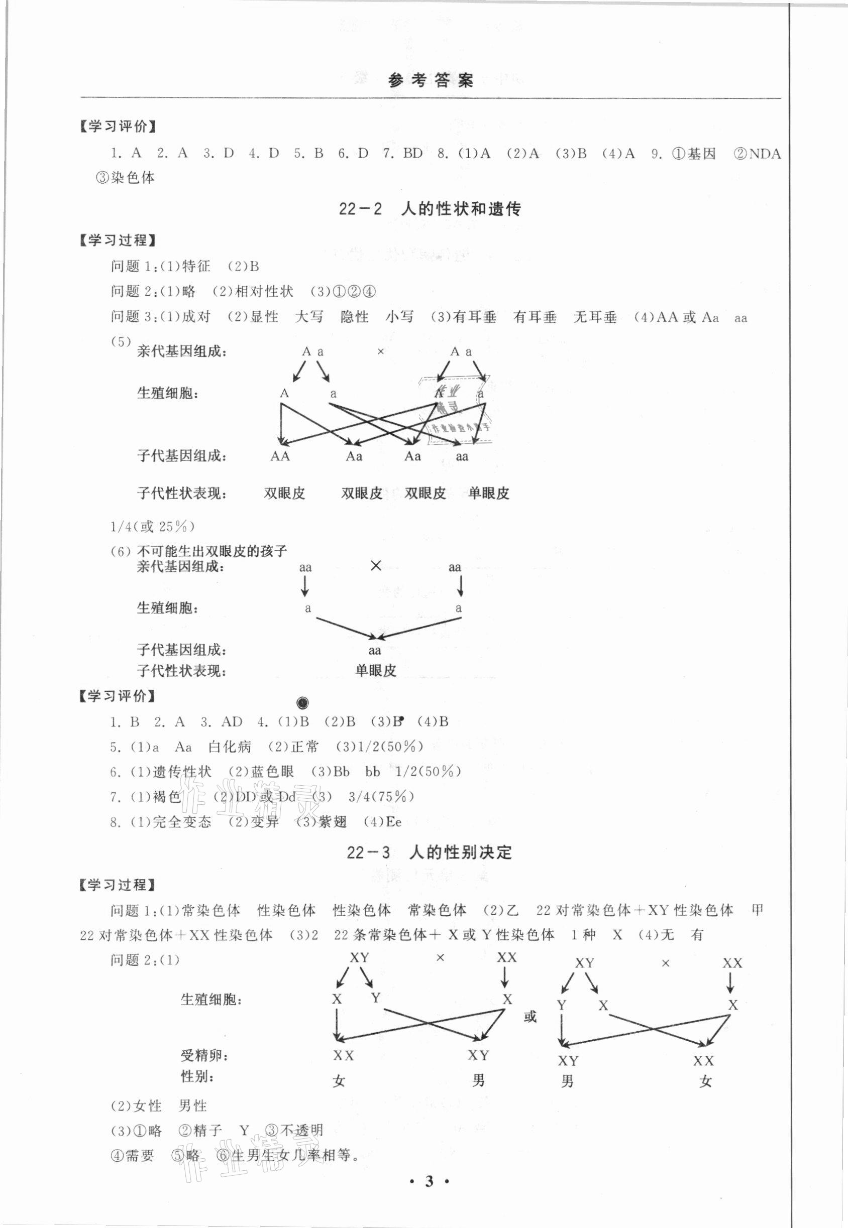 2021年初中學(xué)練案八年級生物下冊蘇教版 參考答案第3頁