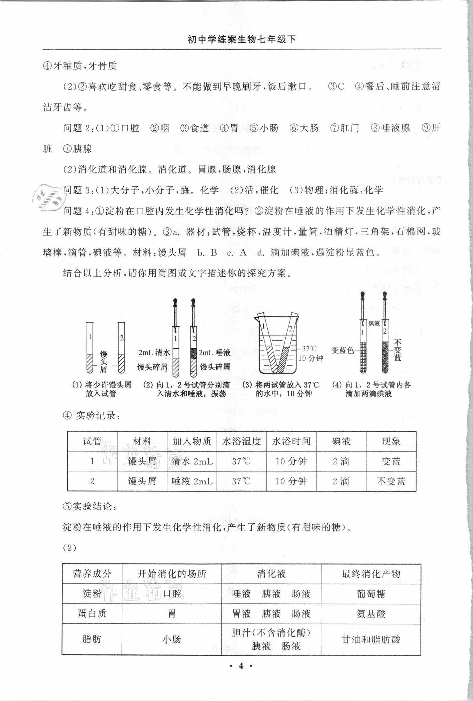 2021年初中學(xué)練案七年級生物下冊蘇教版 參考答案第4頁