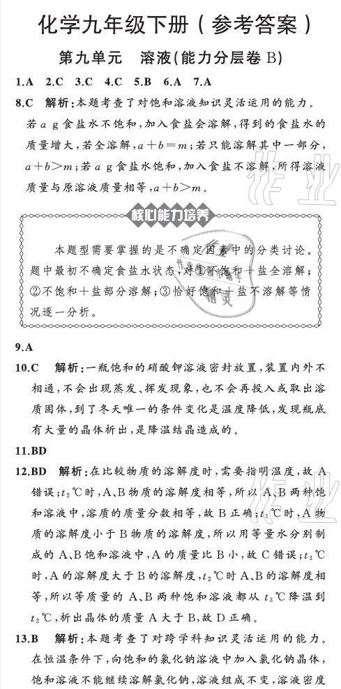 2021年陽光課堂質(zhì)監(jiān)天津單元檢測卷九年級化學(xué)下冊人教版 參考答案第16頁