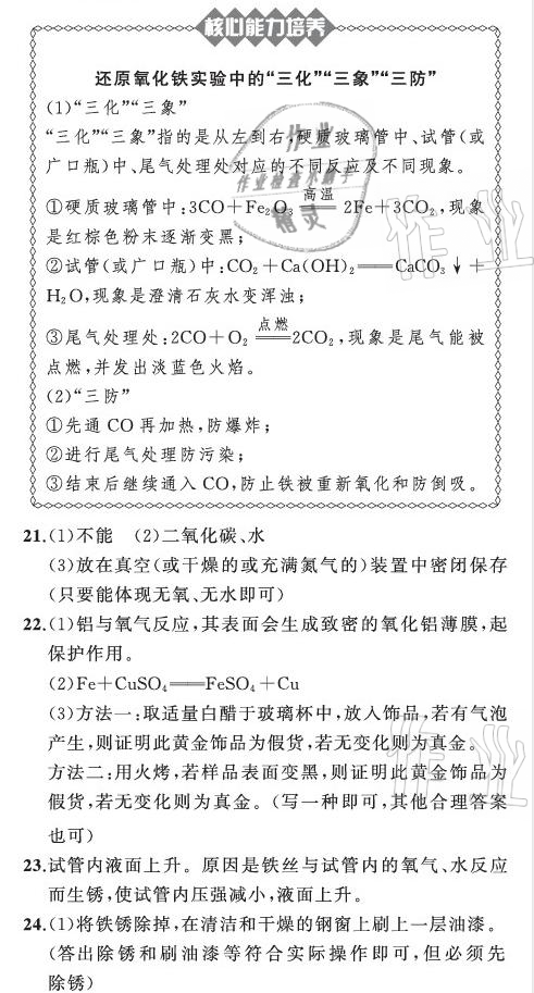 2021年陽光課堂質(zhì)監(jiān)天津單元檢測卷九年級化學(xué)下冊人教版 參考答案第5頁