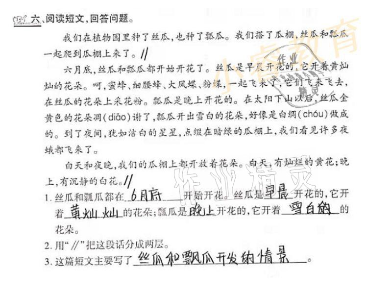 2021年寒假學(xué)習(xí)樂園三年級廣東科技出版社 參考答案第10頁