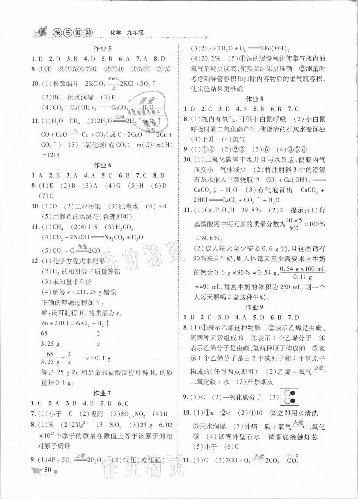 2021年提优作业快乐假期九年级化学 第2页