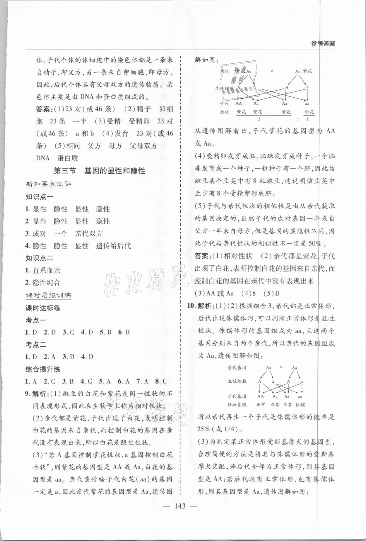 2021年新課堂同步學習與探究八年級生物下冊人教版 參考答案第6頁