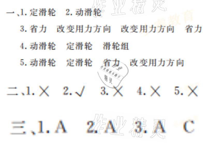 2021年湘岳假期寒假作业六年级科学教科版 参考答案第7页